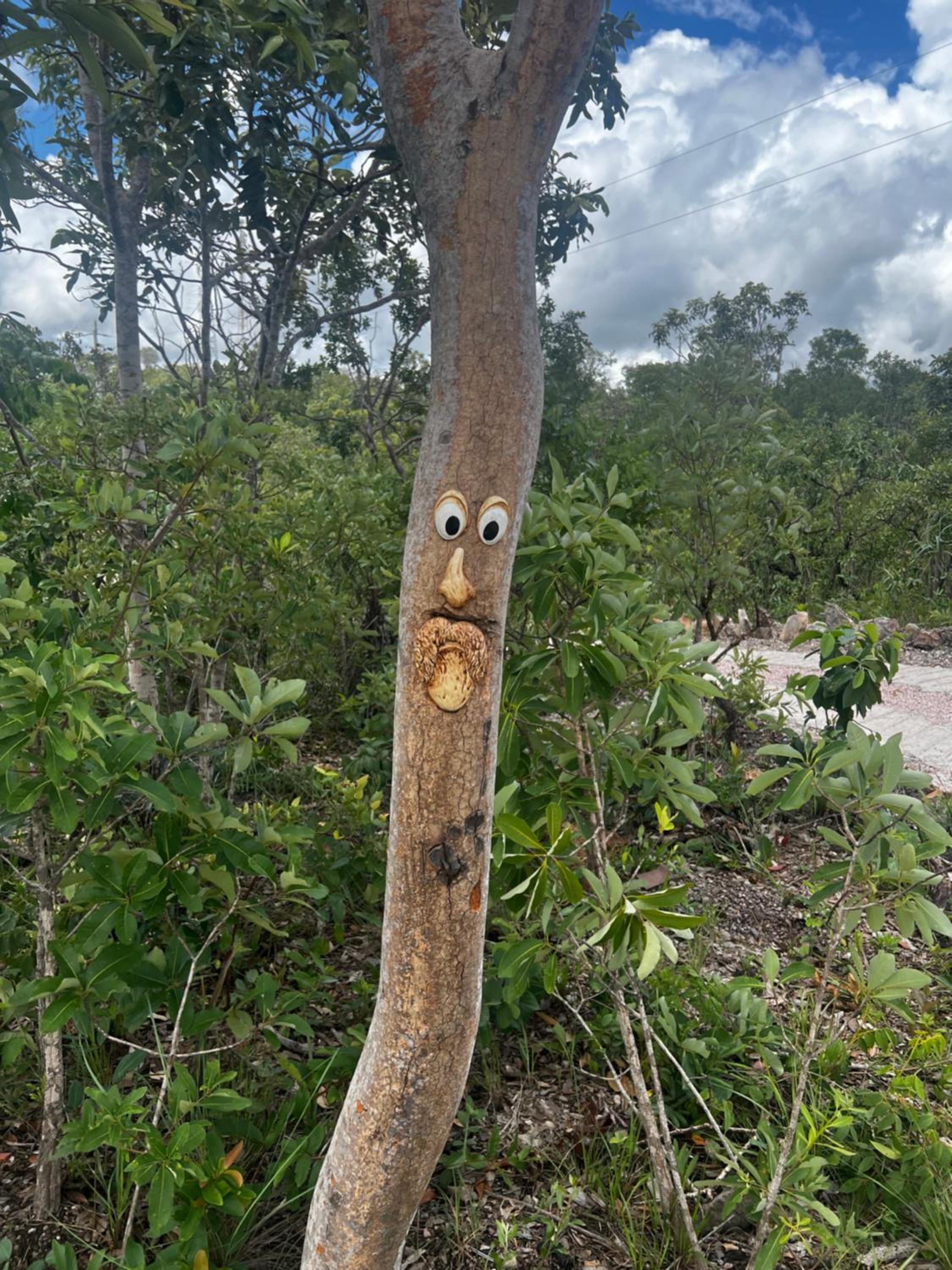Rancho Aroeira