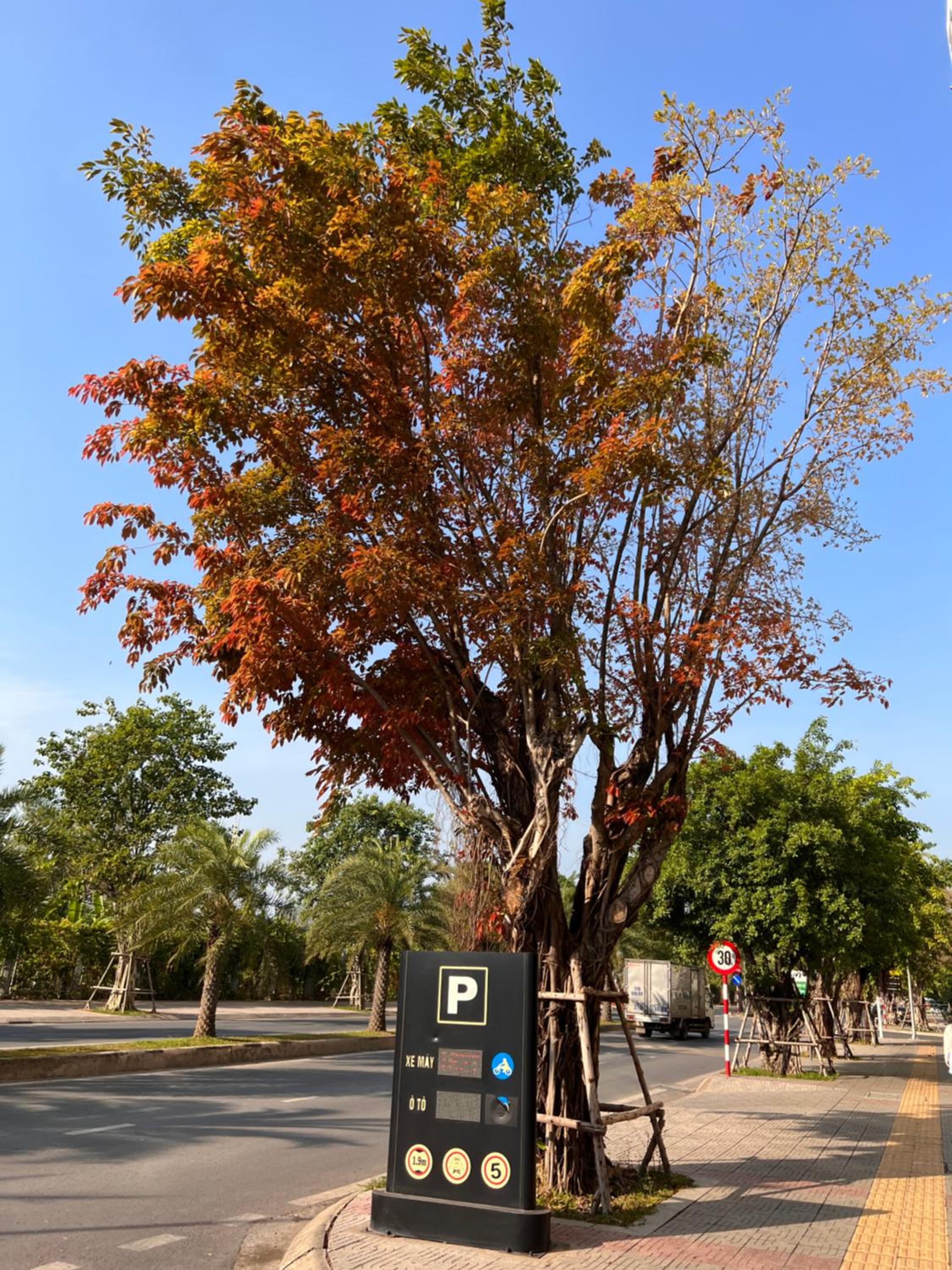 parking