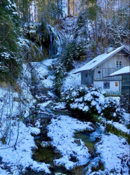 Seelodge