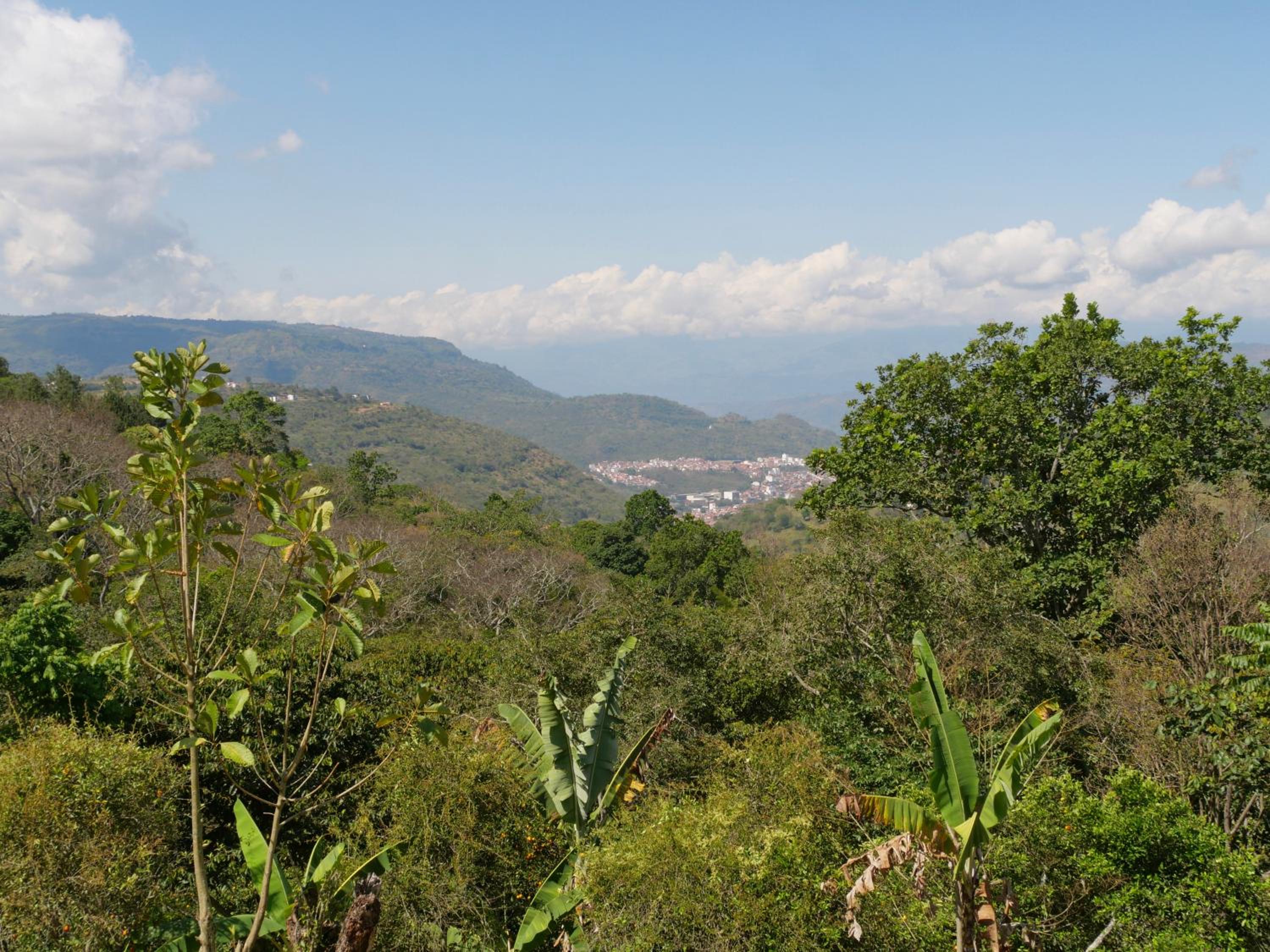 La Hacienda