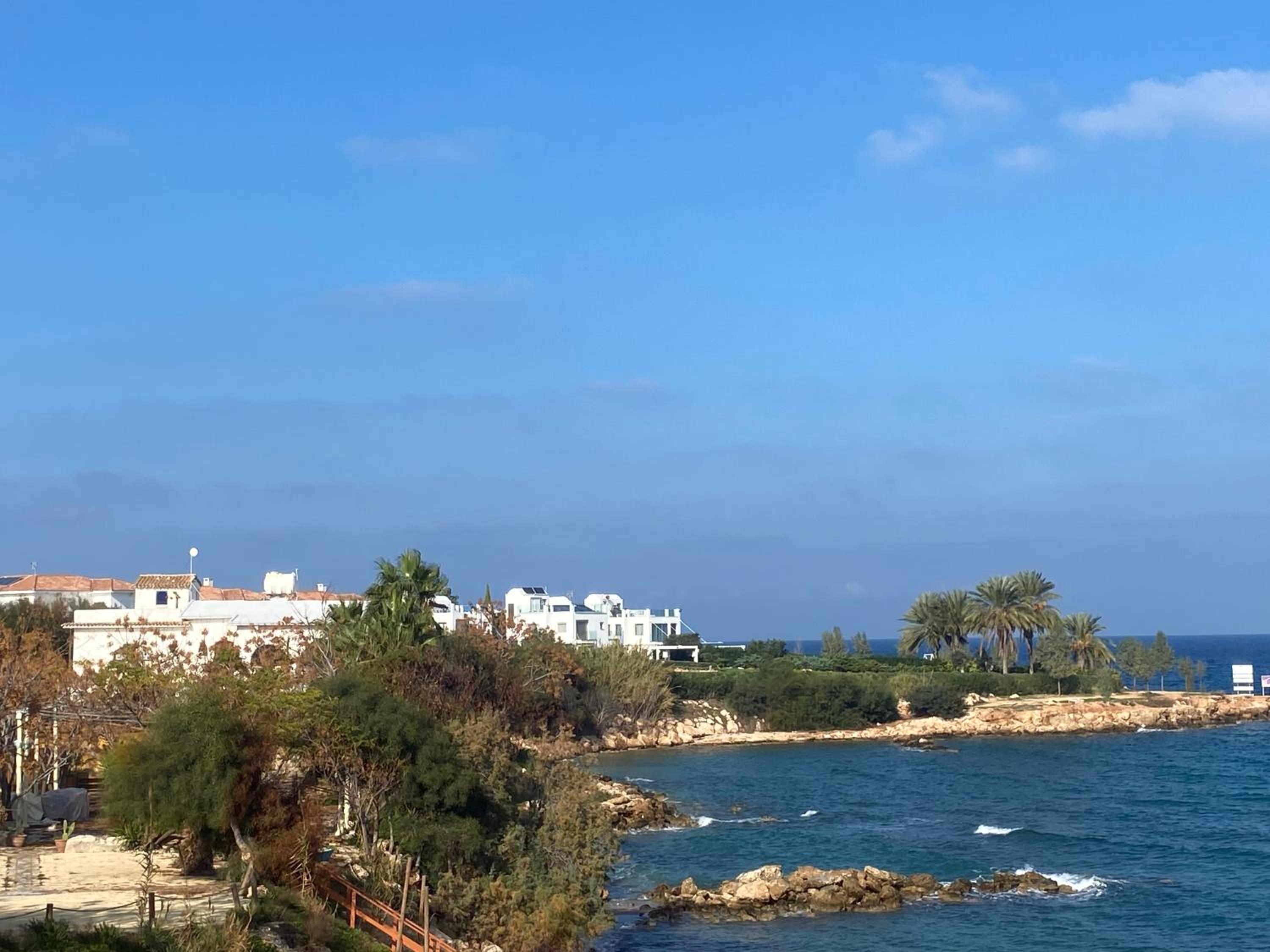 Olive Tree Villa - Protaras view 5