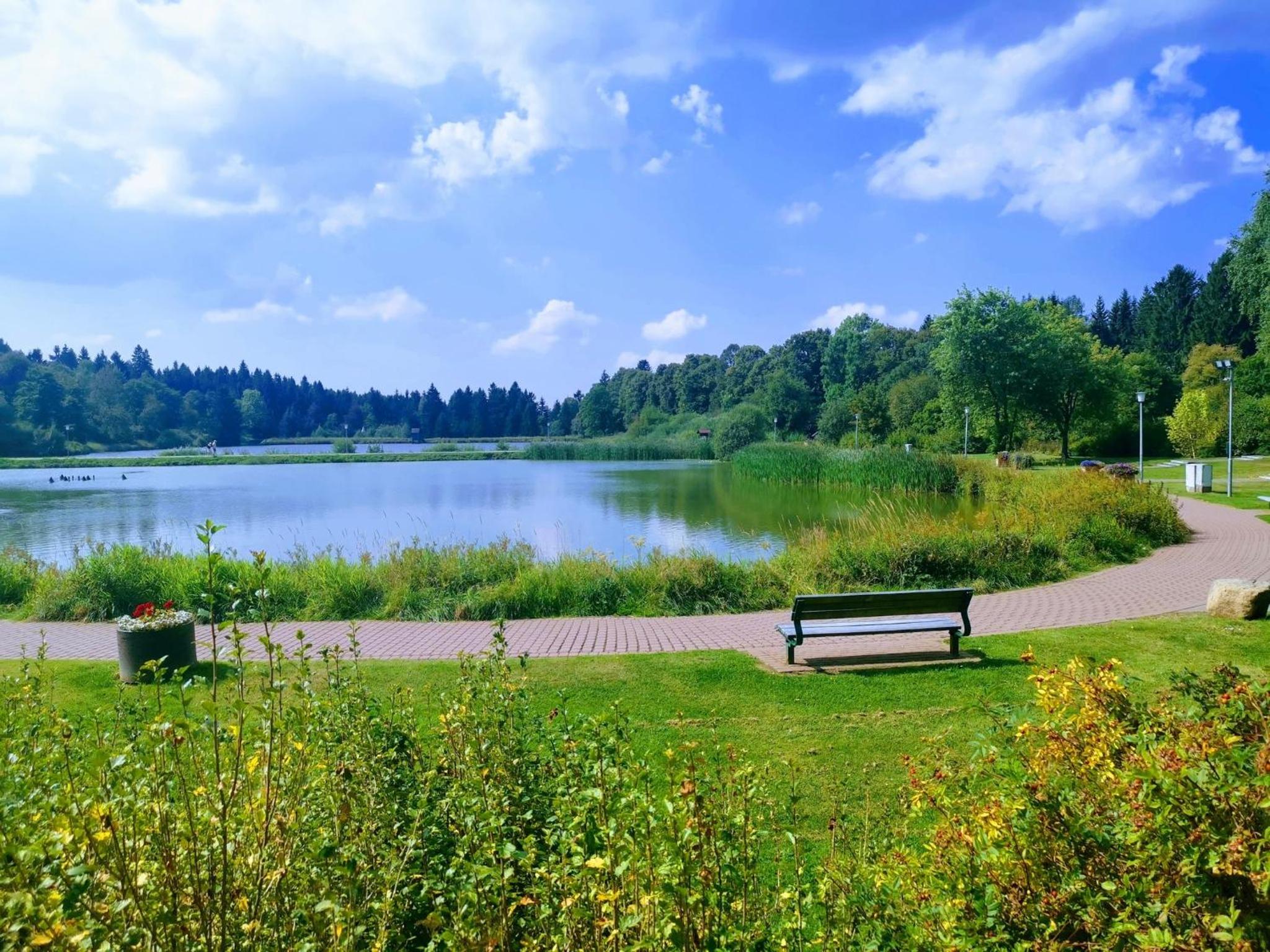 Hahnenklee mit Seeblick im Harz