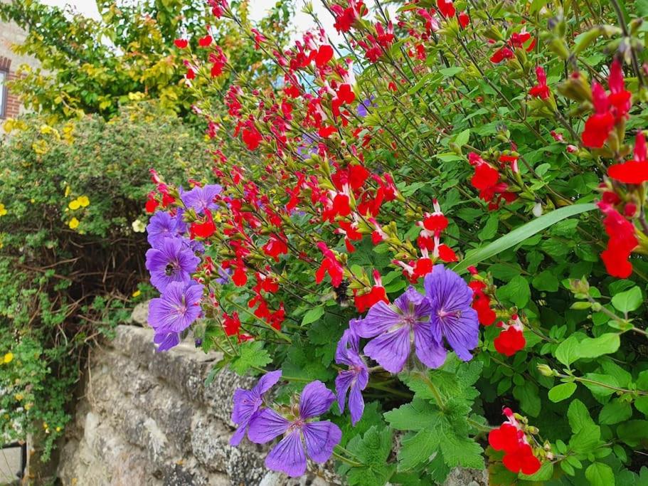 Countryside 3 Bed Detached Cottage view 5