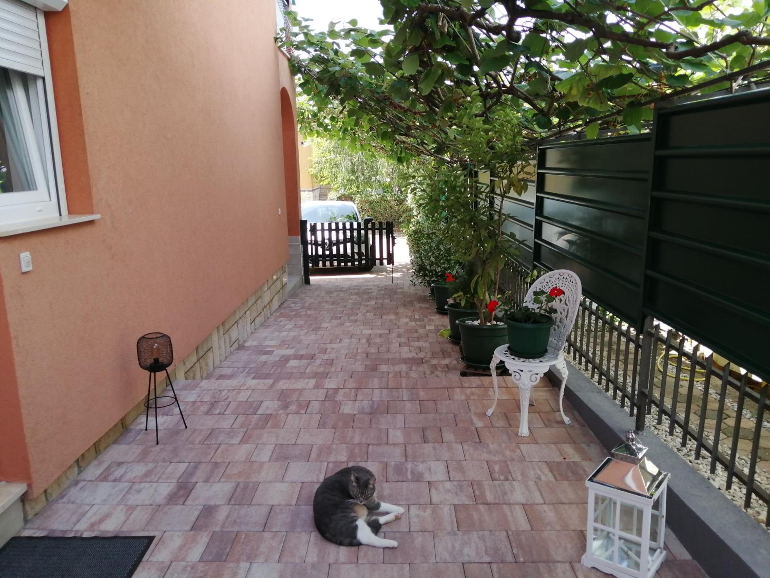 Photo 38