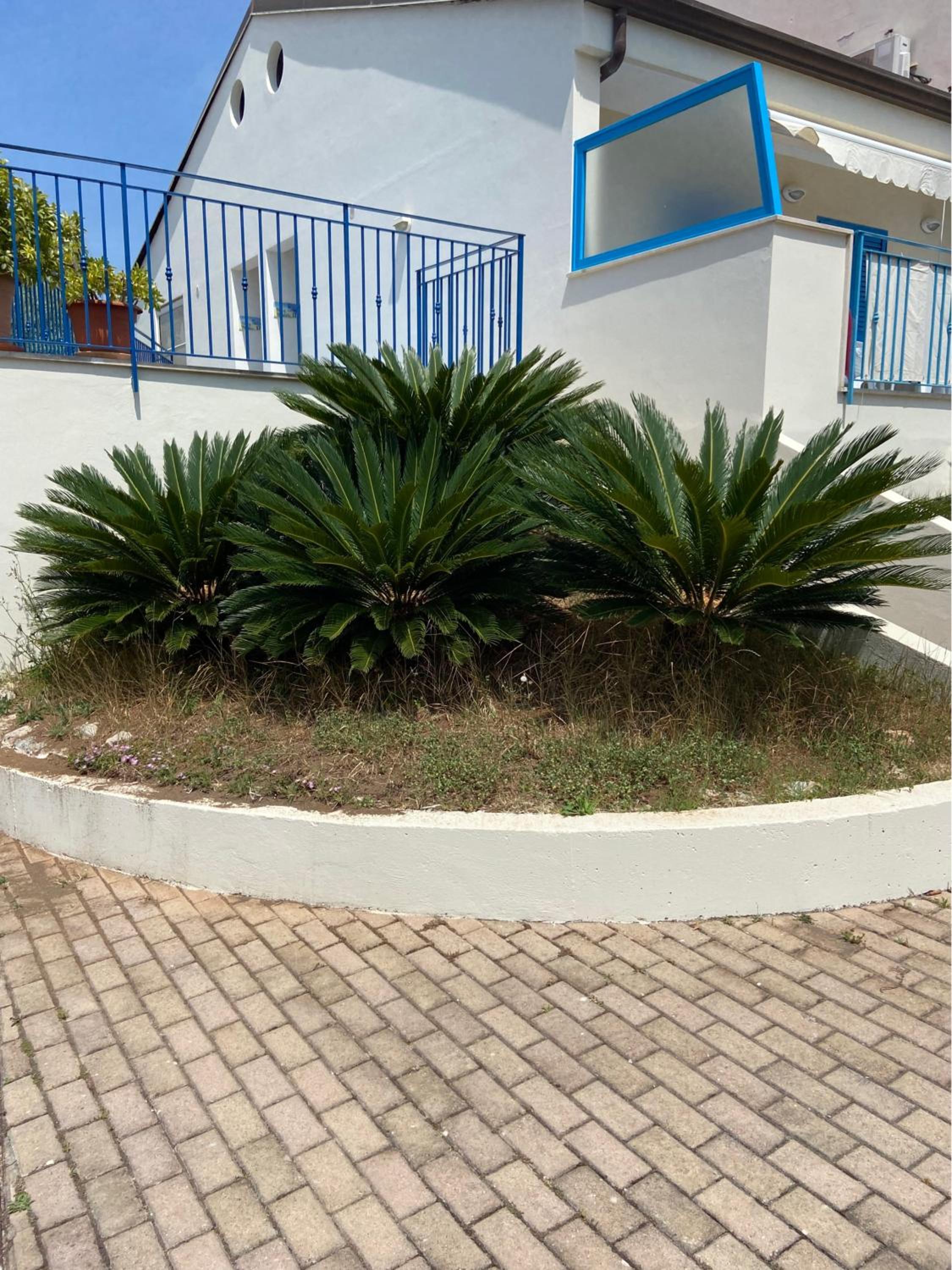 Photo 40