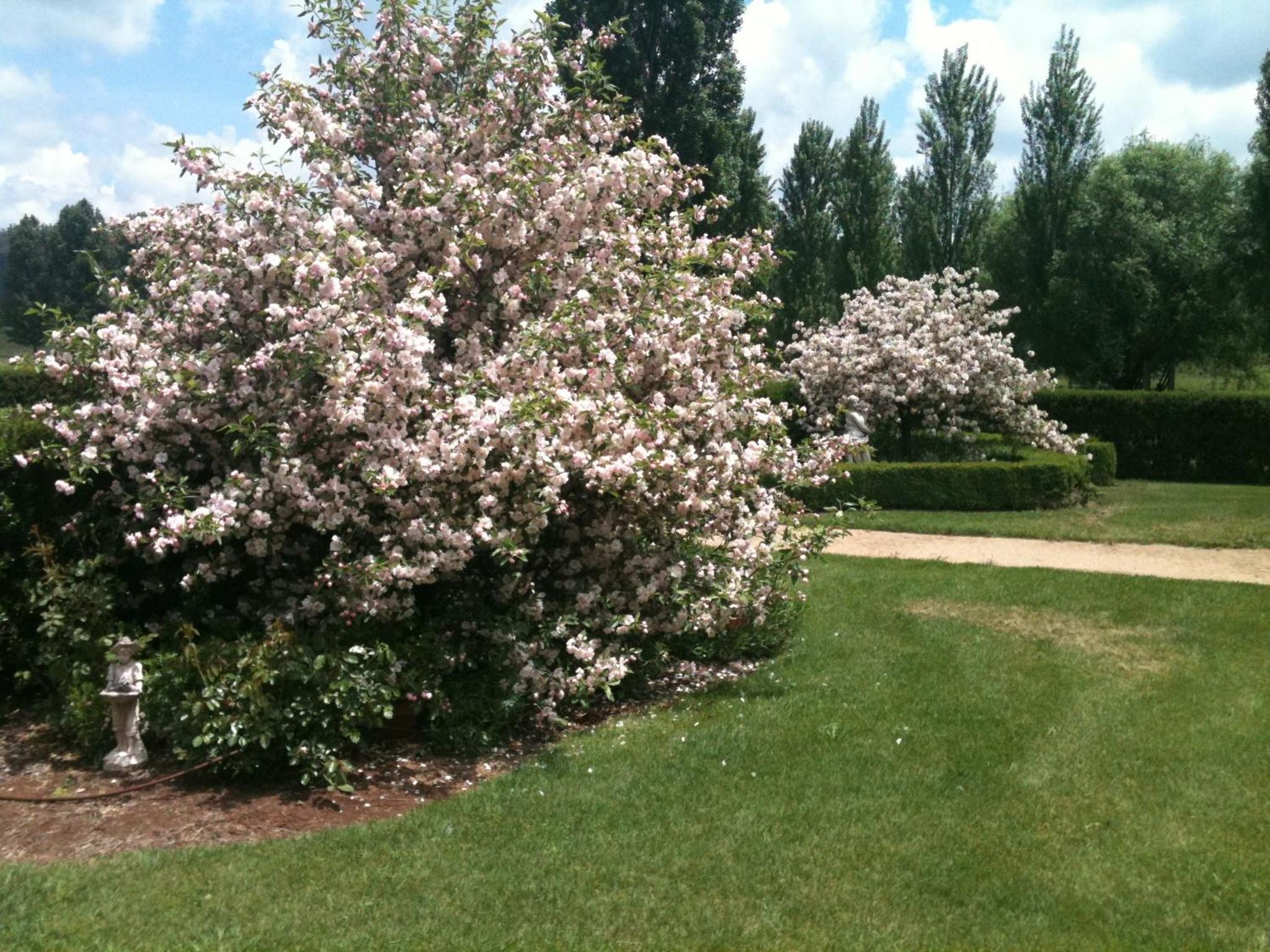 Glen Waverly Farmstay