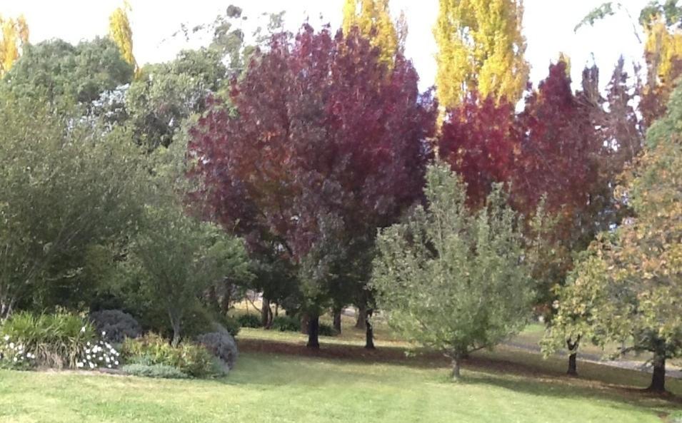Glen Waverly Farmstay