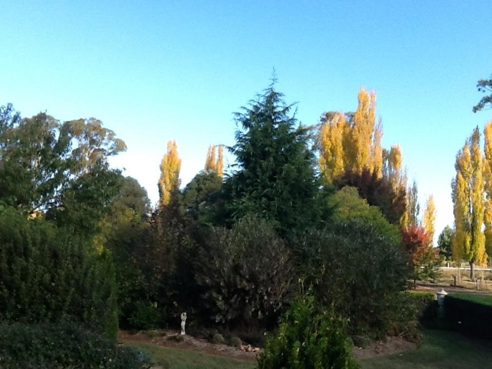 Glen Waverly Farmstay