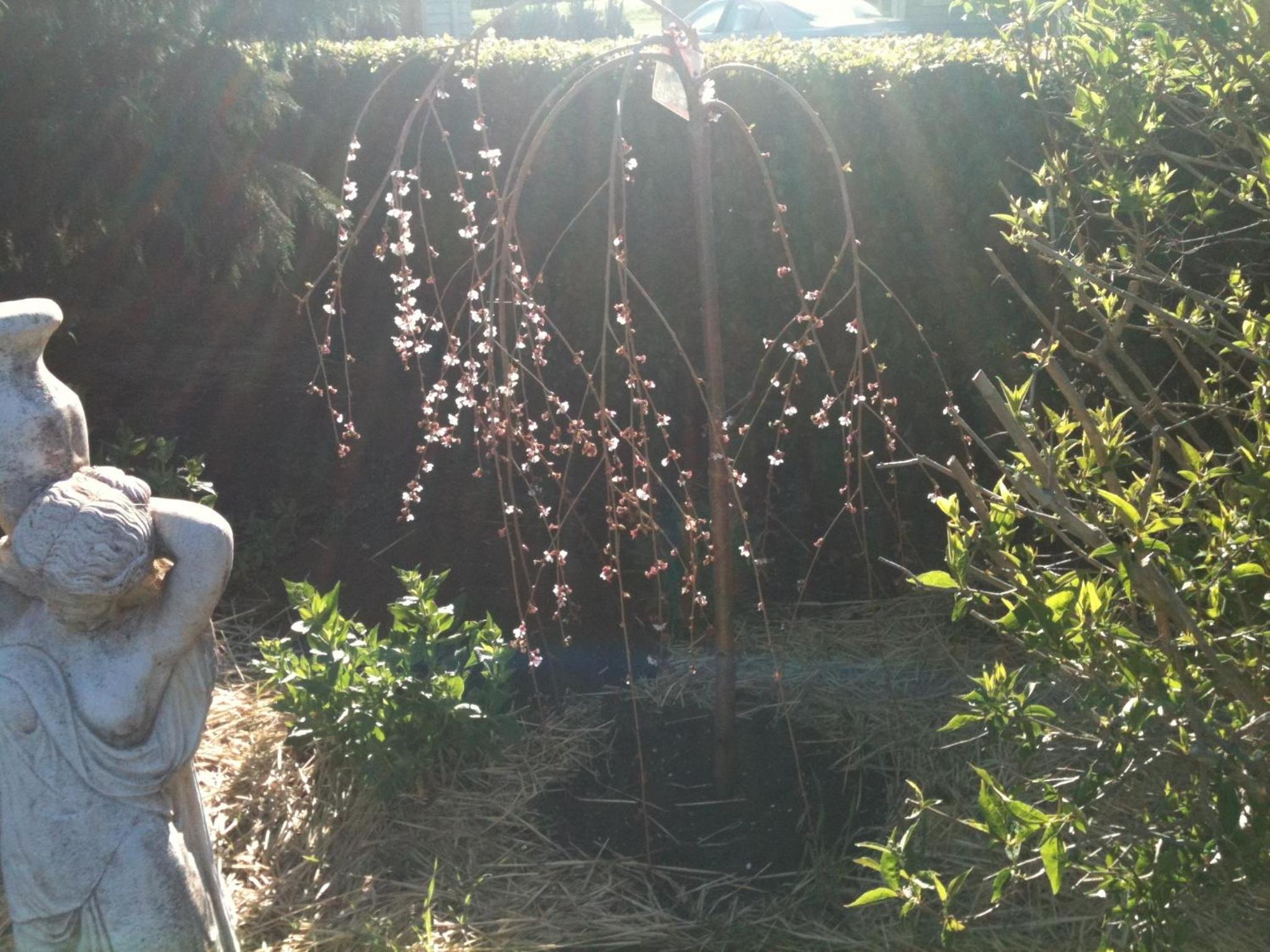 Glen Waverly Farmstay