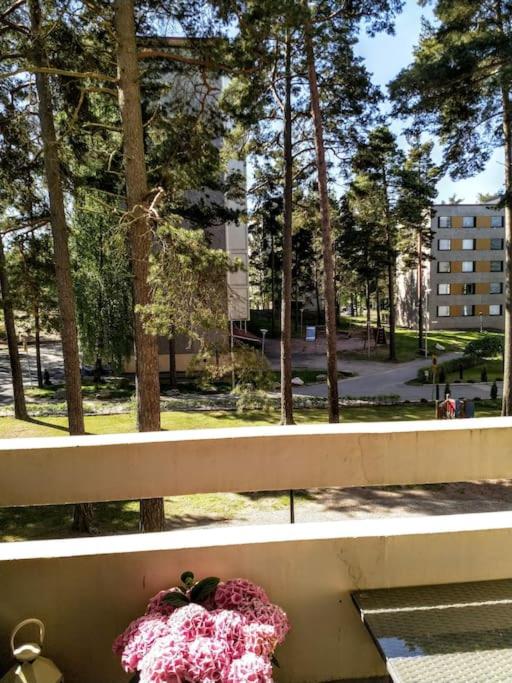 Casa Merikotilo merellisessä Meriraumassa.