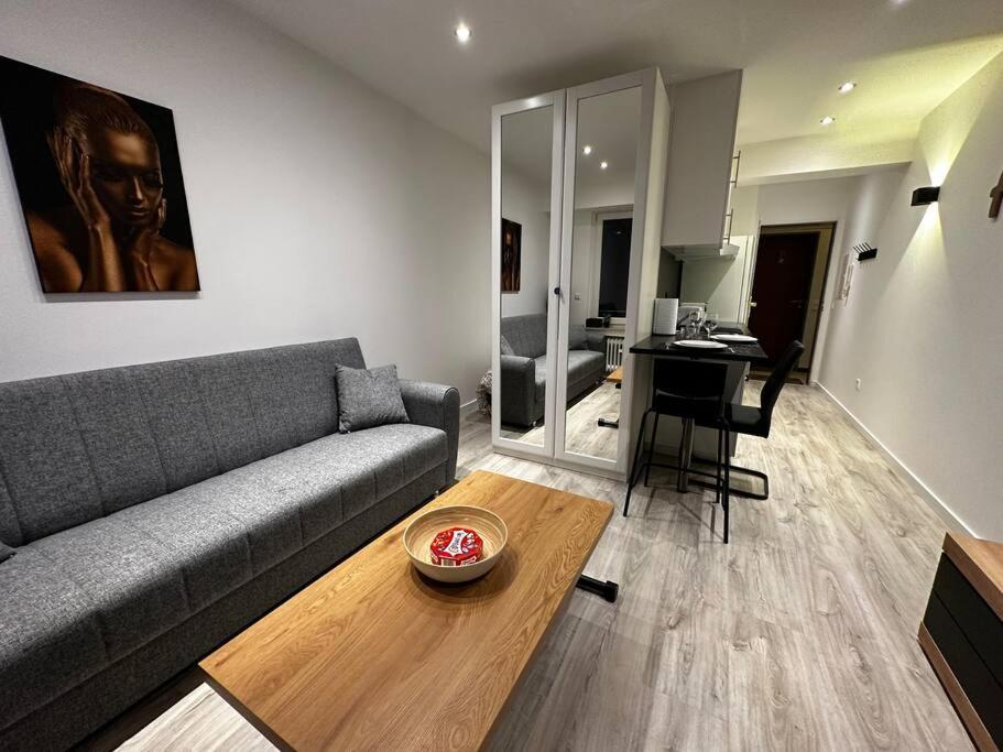 Amazing cosy flat Lux Gare