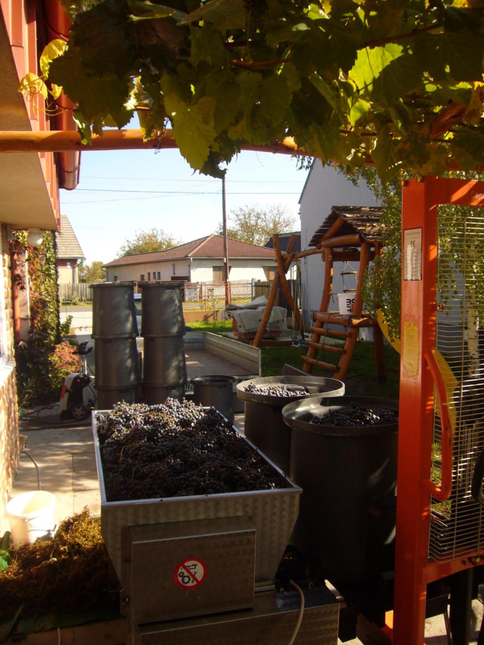 Photo 43