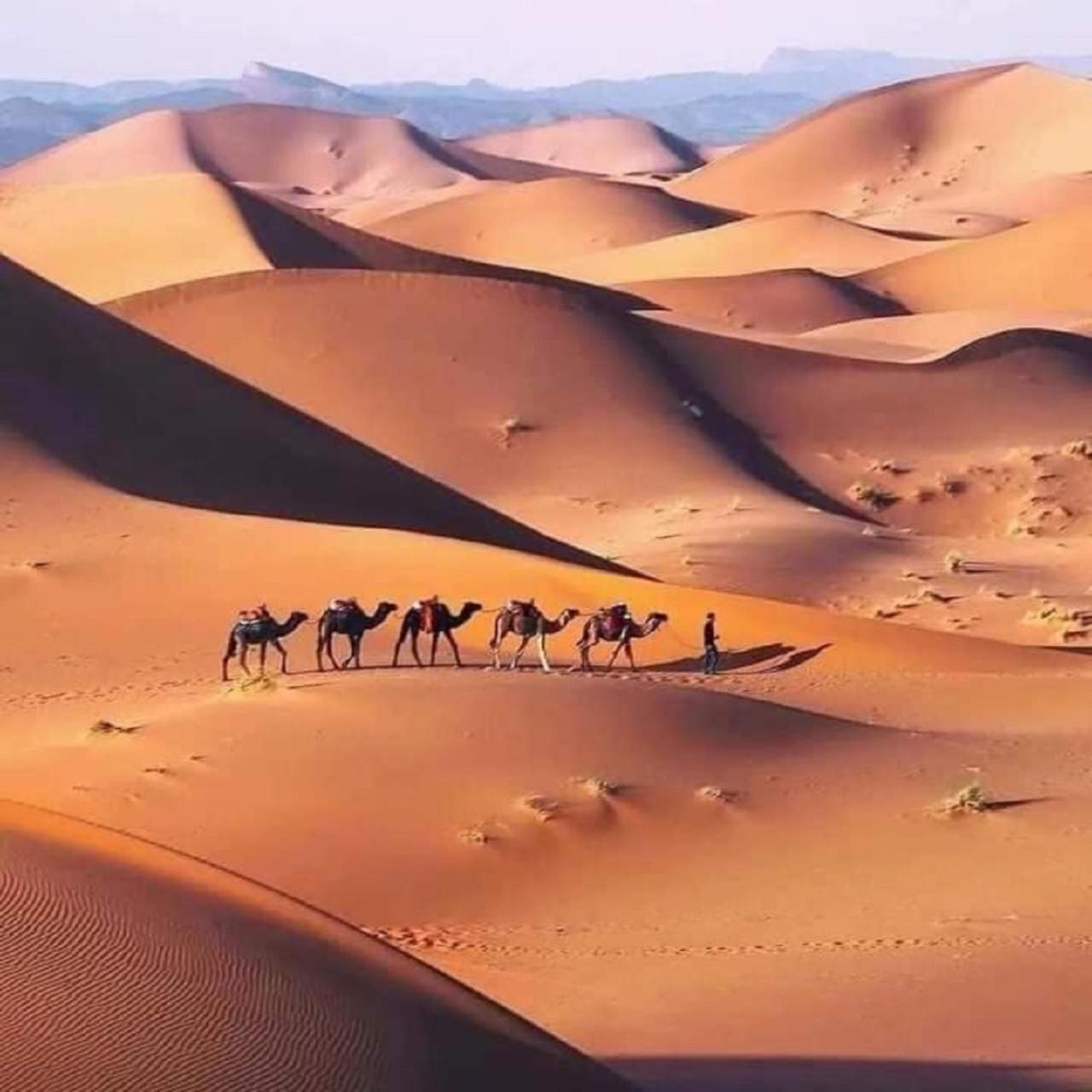 Appartements Rihanna Merzouga