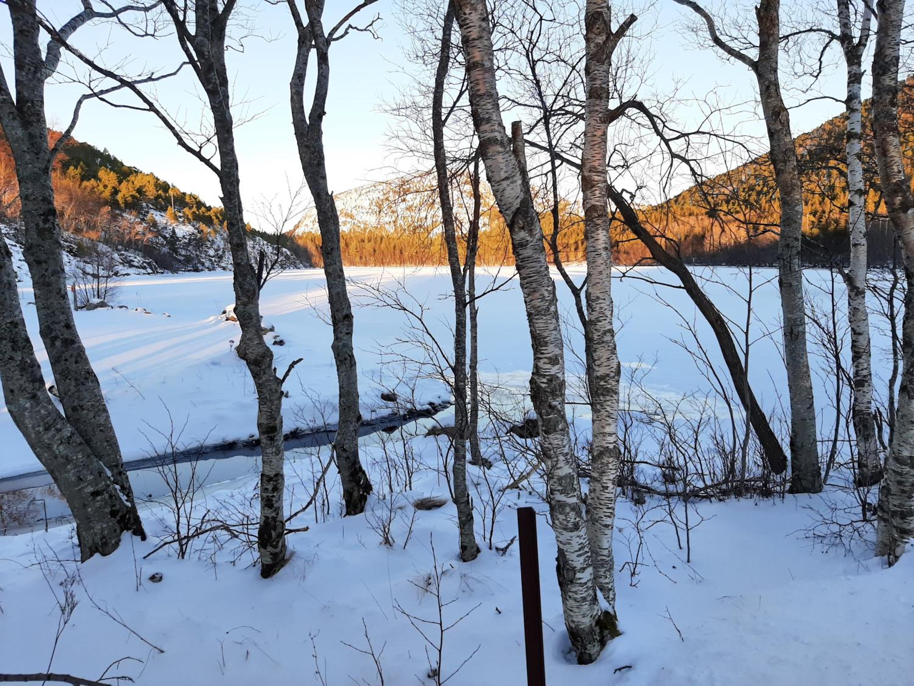 Holiday Apartment in Flatanger