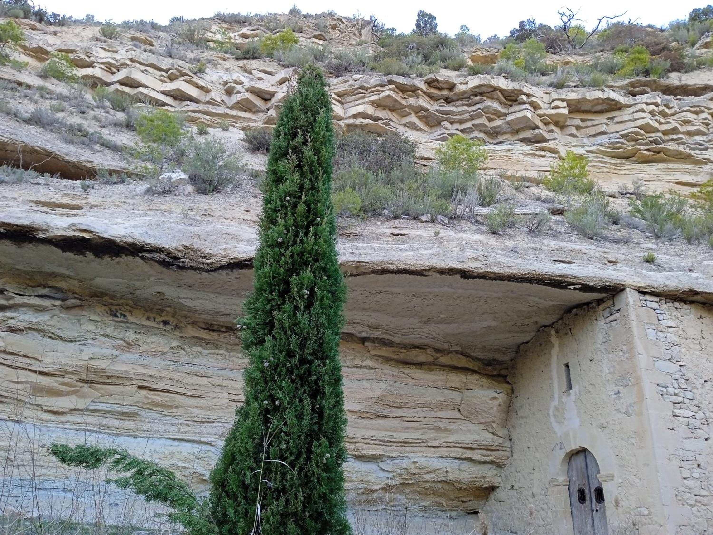 Casa Mónica