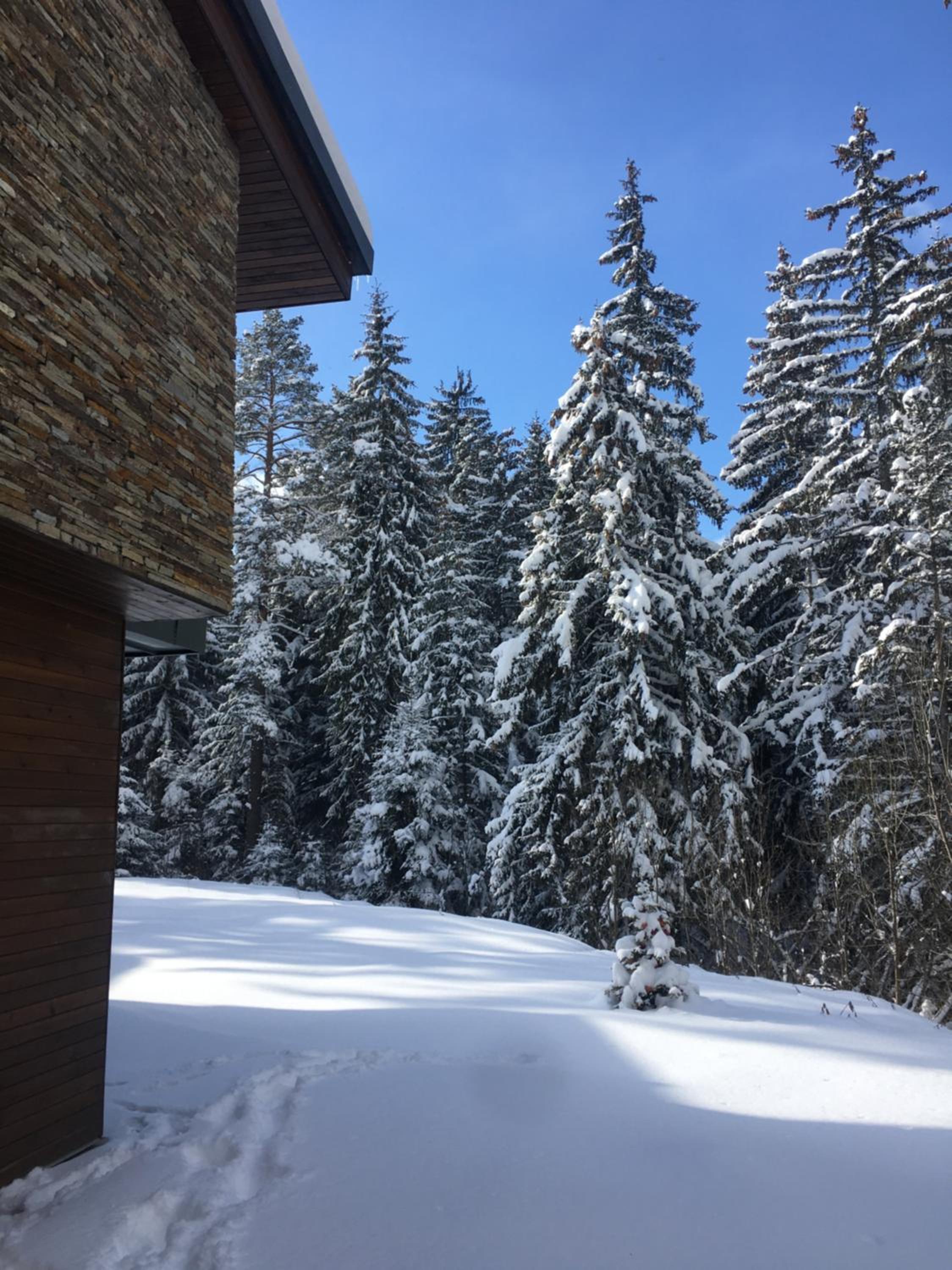 Borovets Chalets