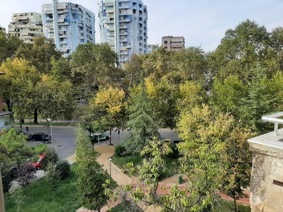 Cozy Apartment in the heart of Tirana