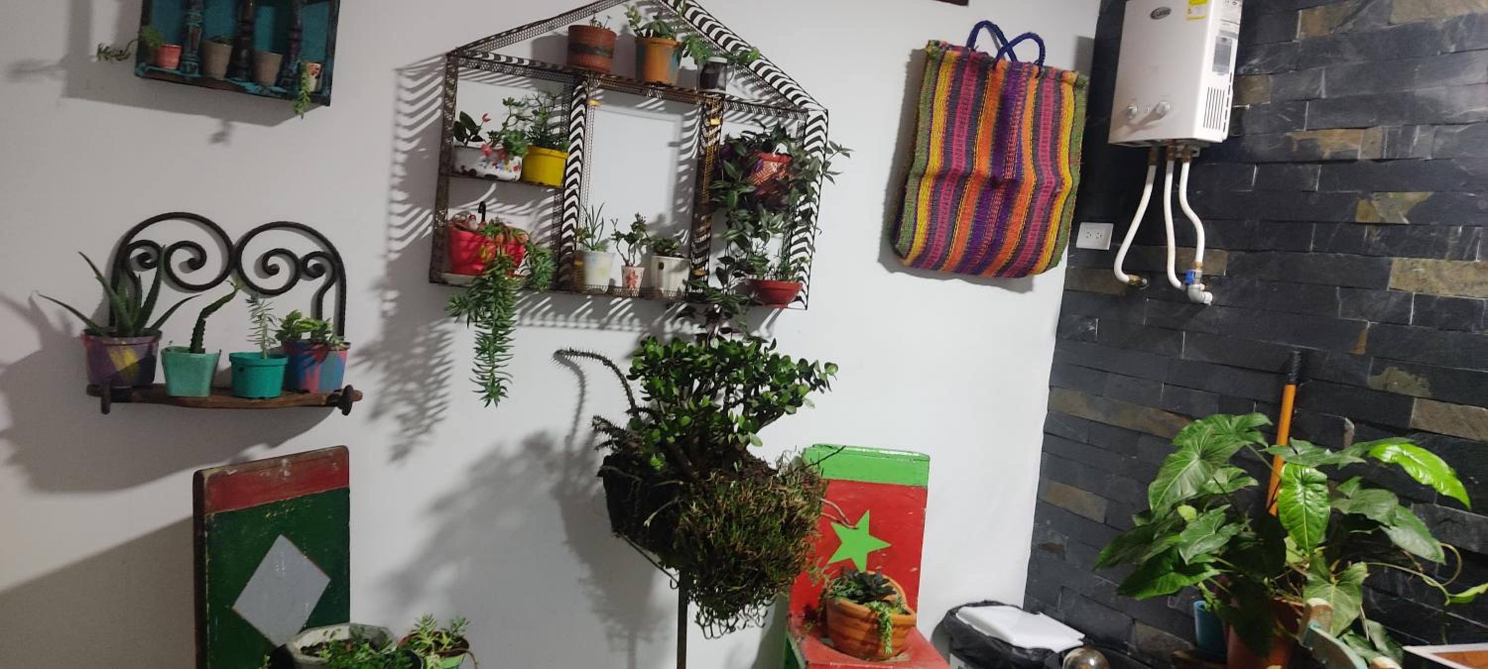 Paisa Territory Jardin