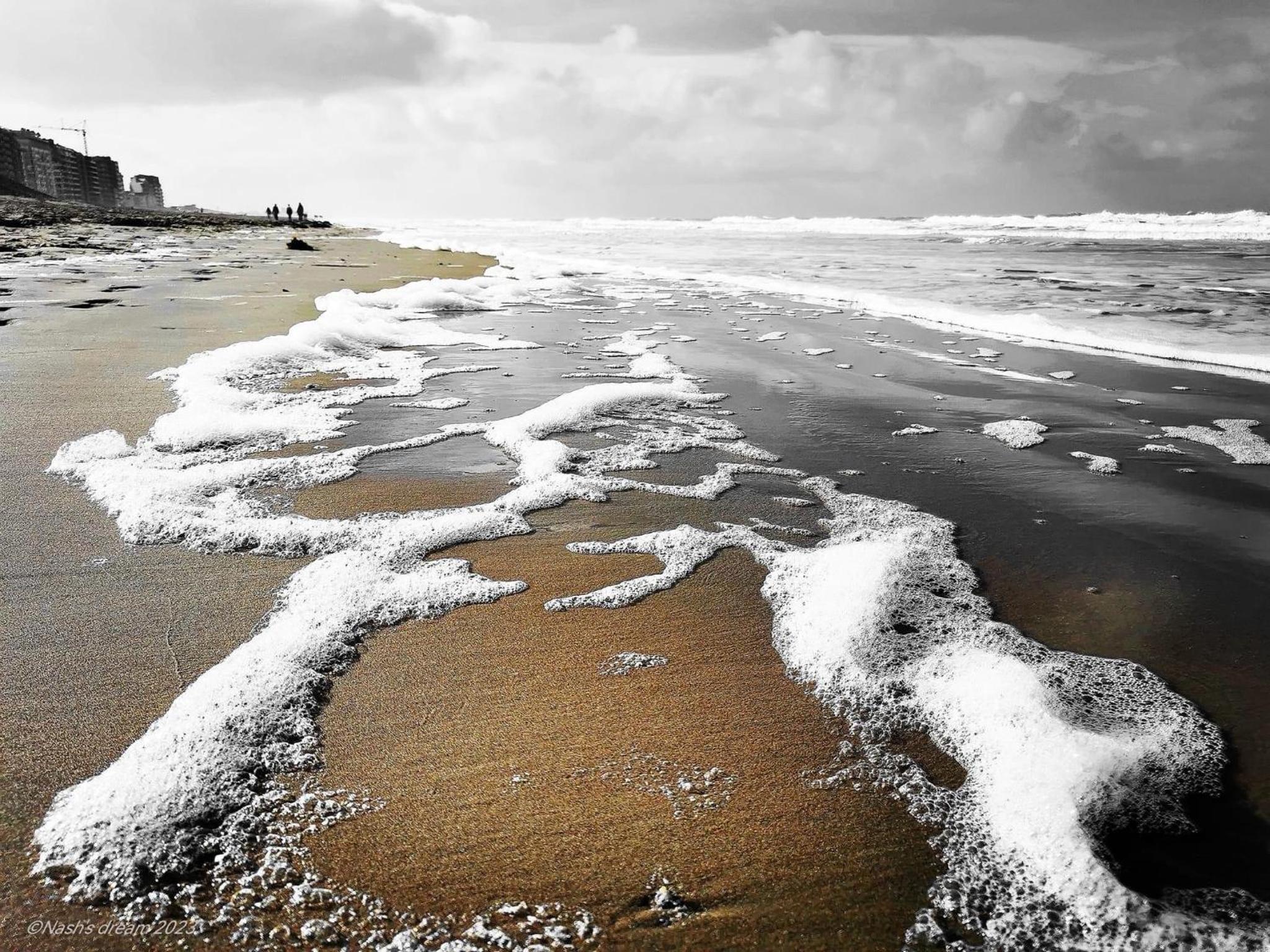 Casino Beach