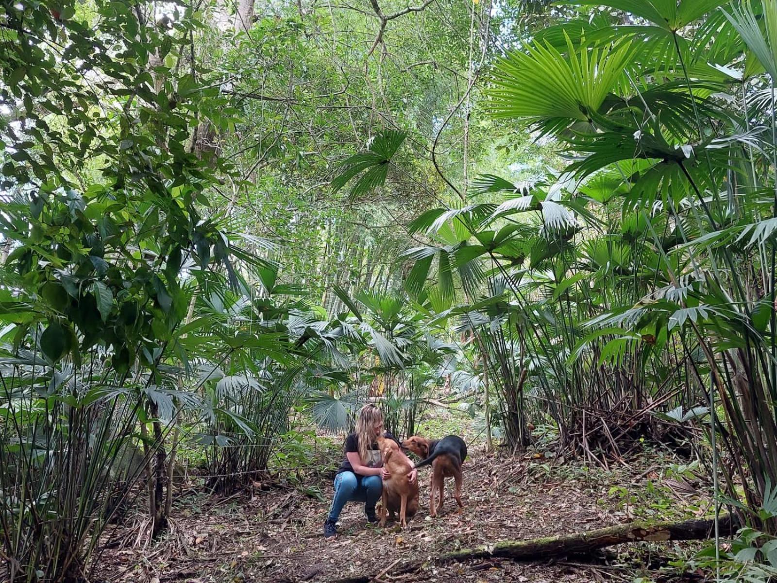 Finca Salitre