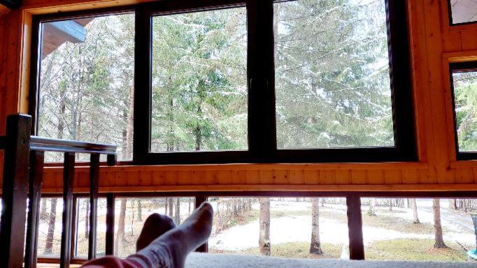 Misha's House
