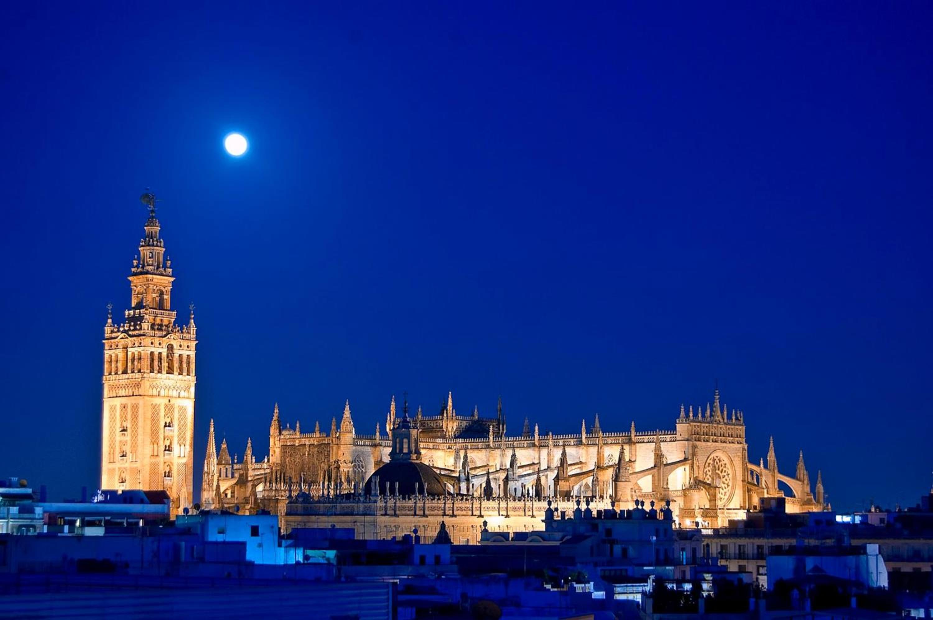Apartamento Livia junto a la Catedral
