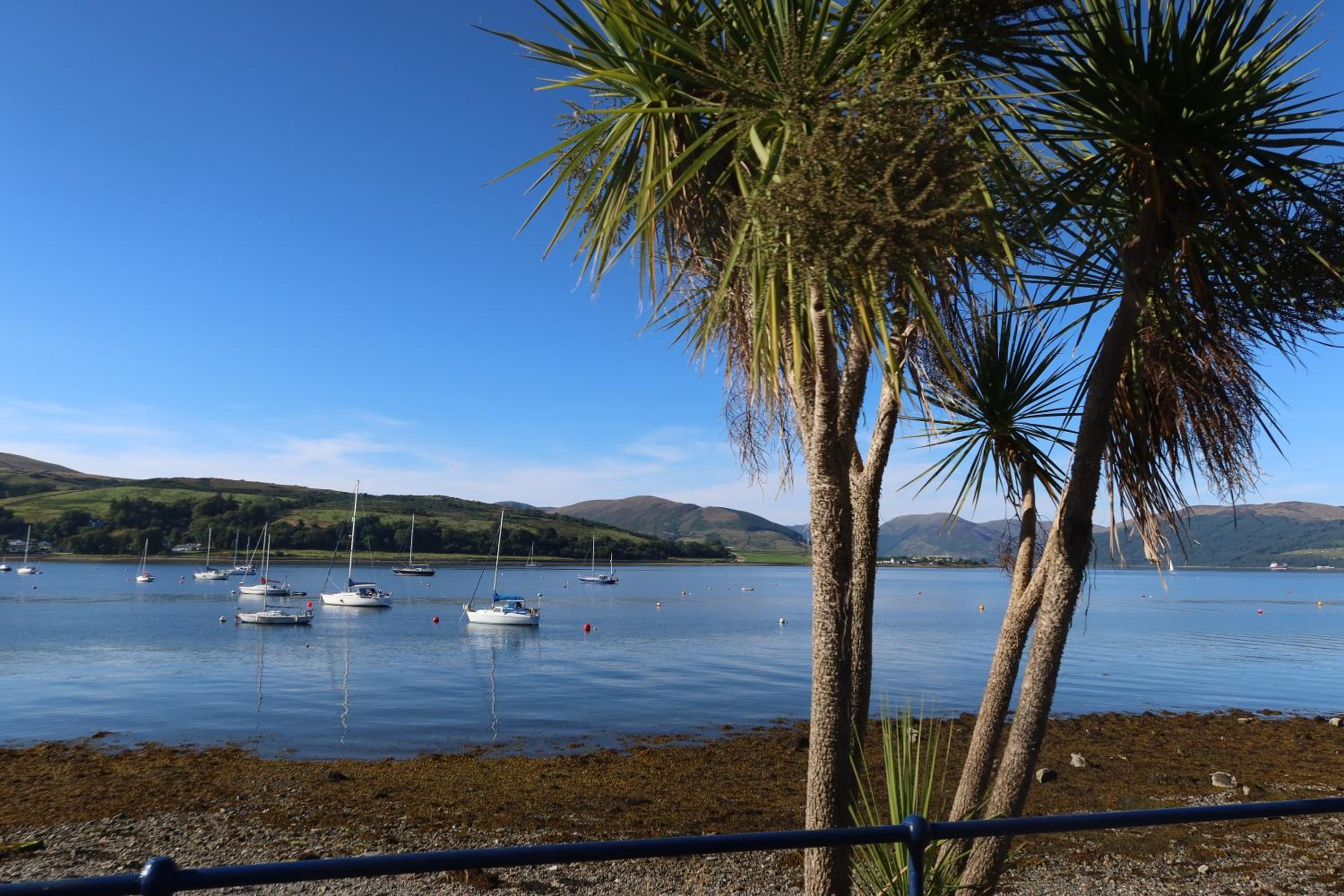 An Cuilidh