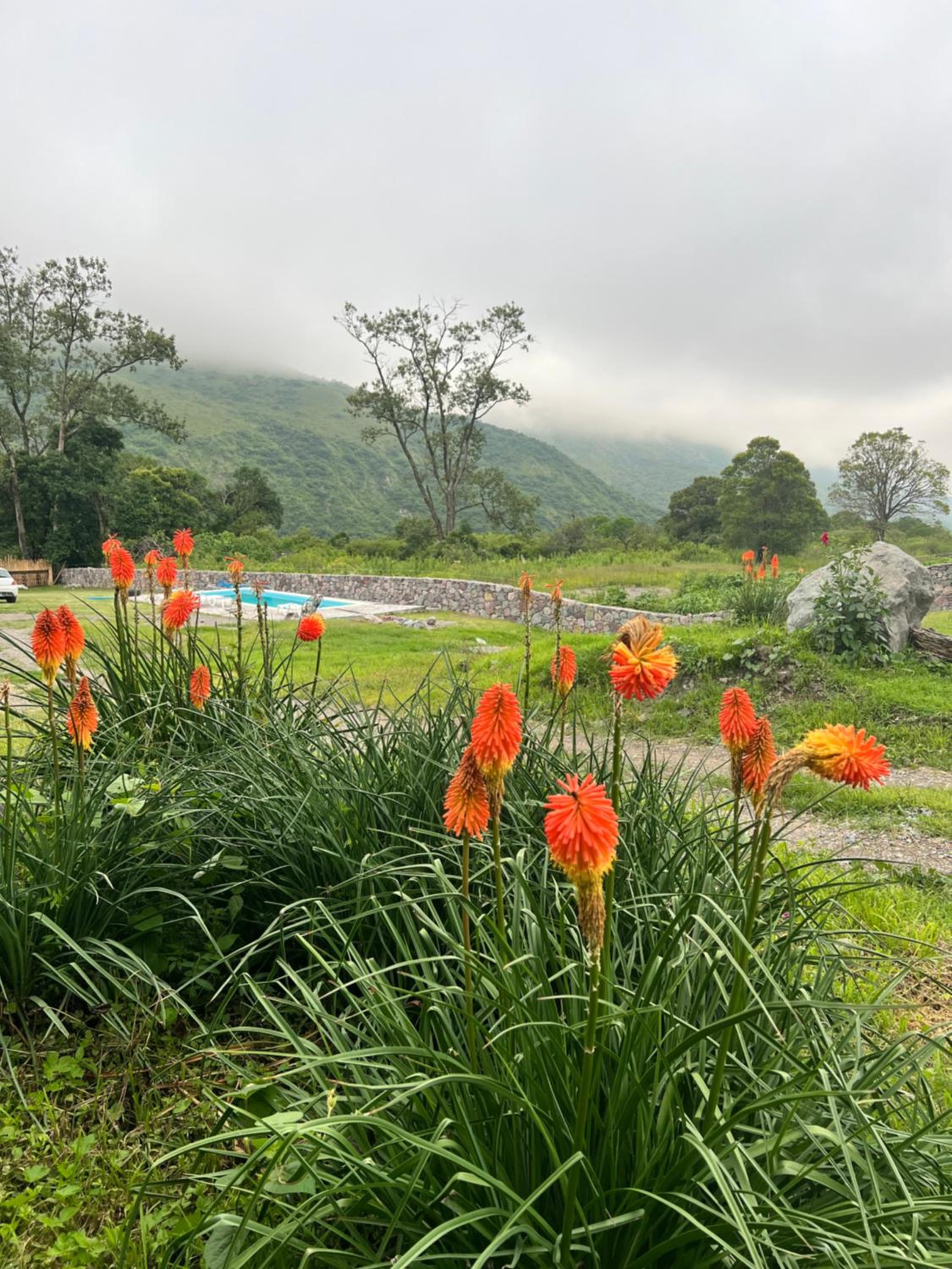 Santuyoc