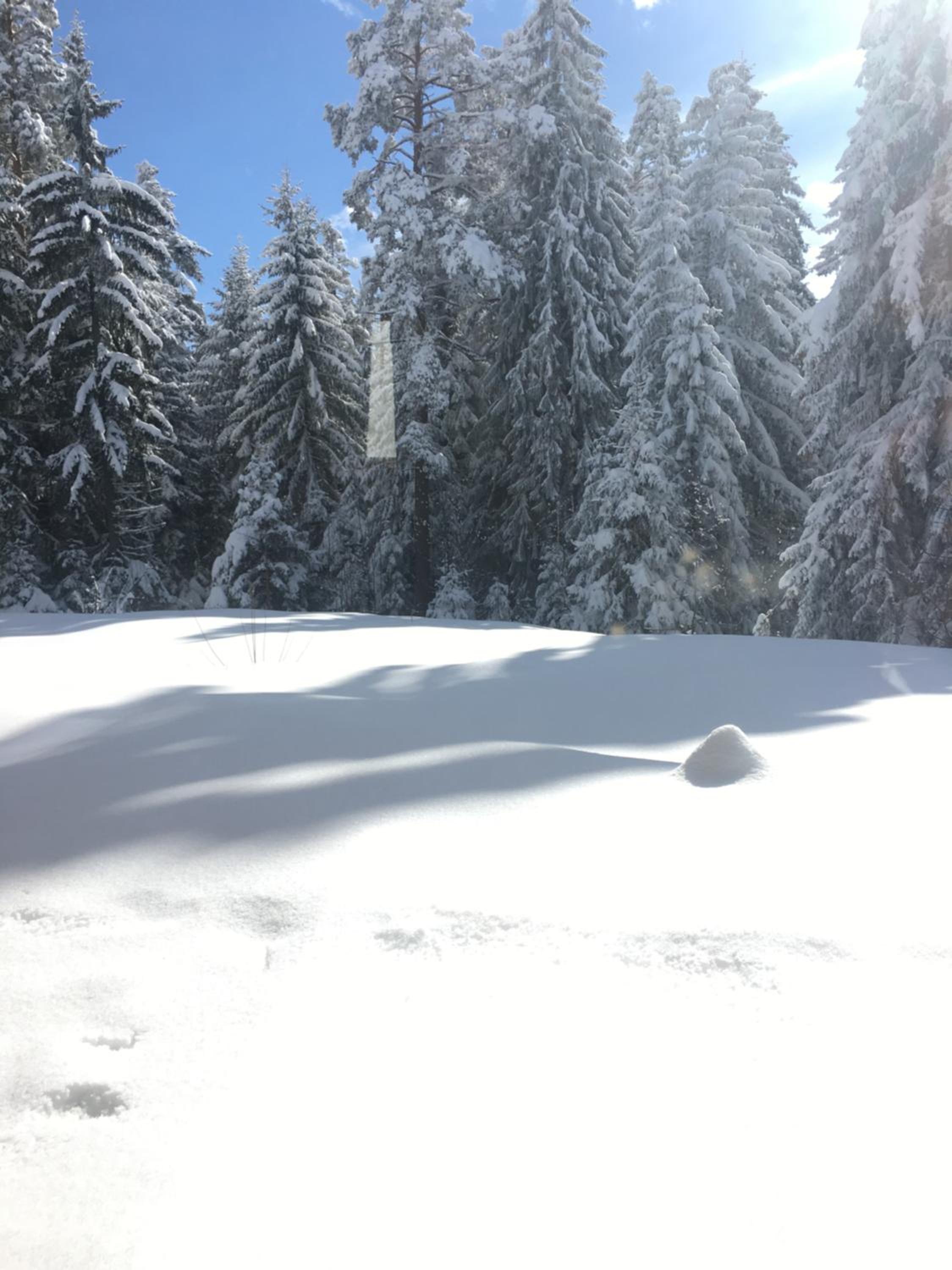 Borovets Chalets