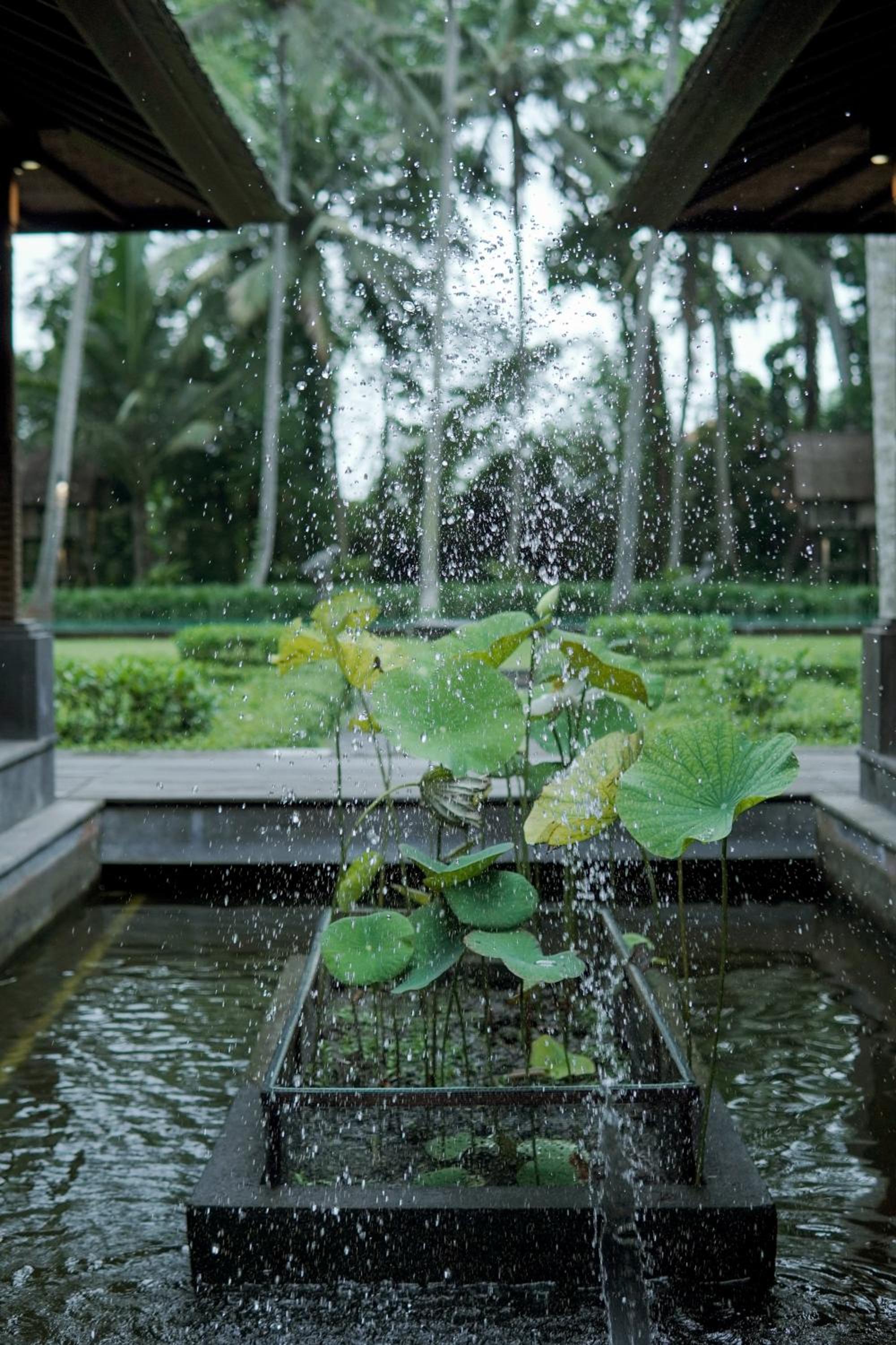 Villa Puri Tupai, Ubud - 16