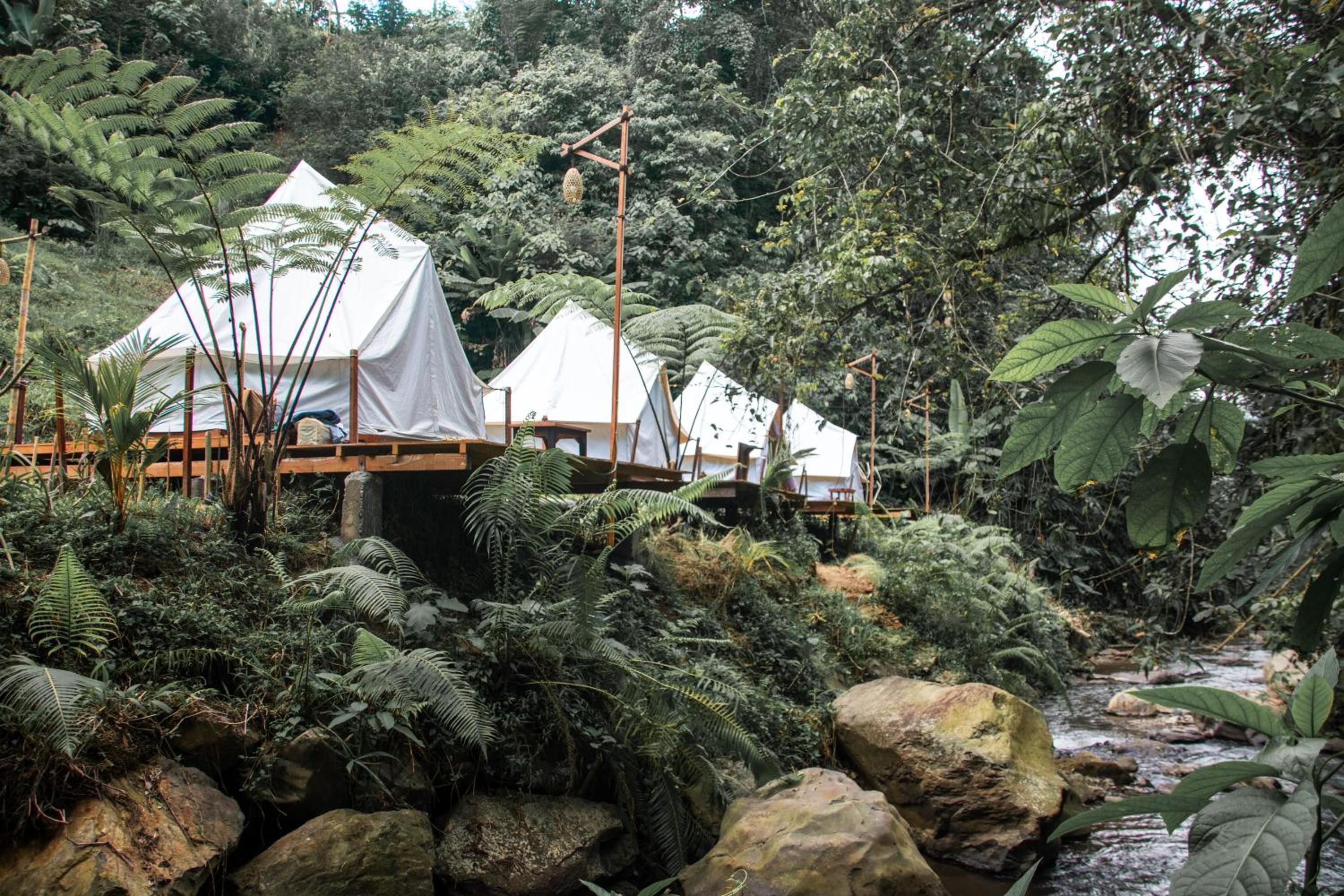 Glamping tent in Pelaga Eco Park