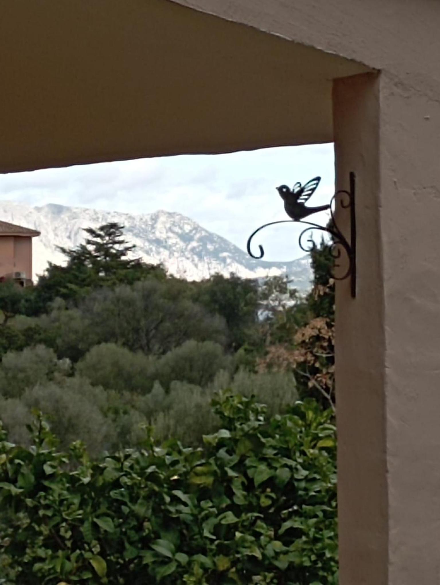 Villetta Cala D'Ambra view 5