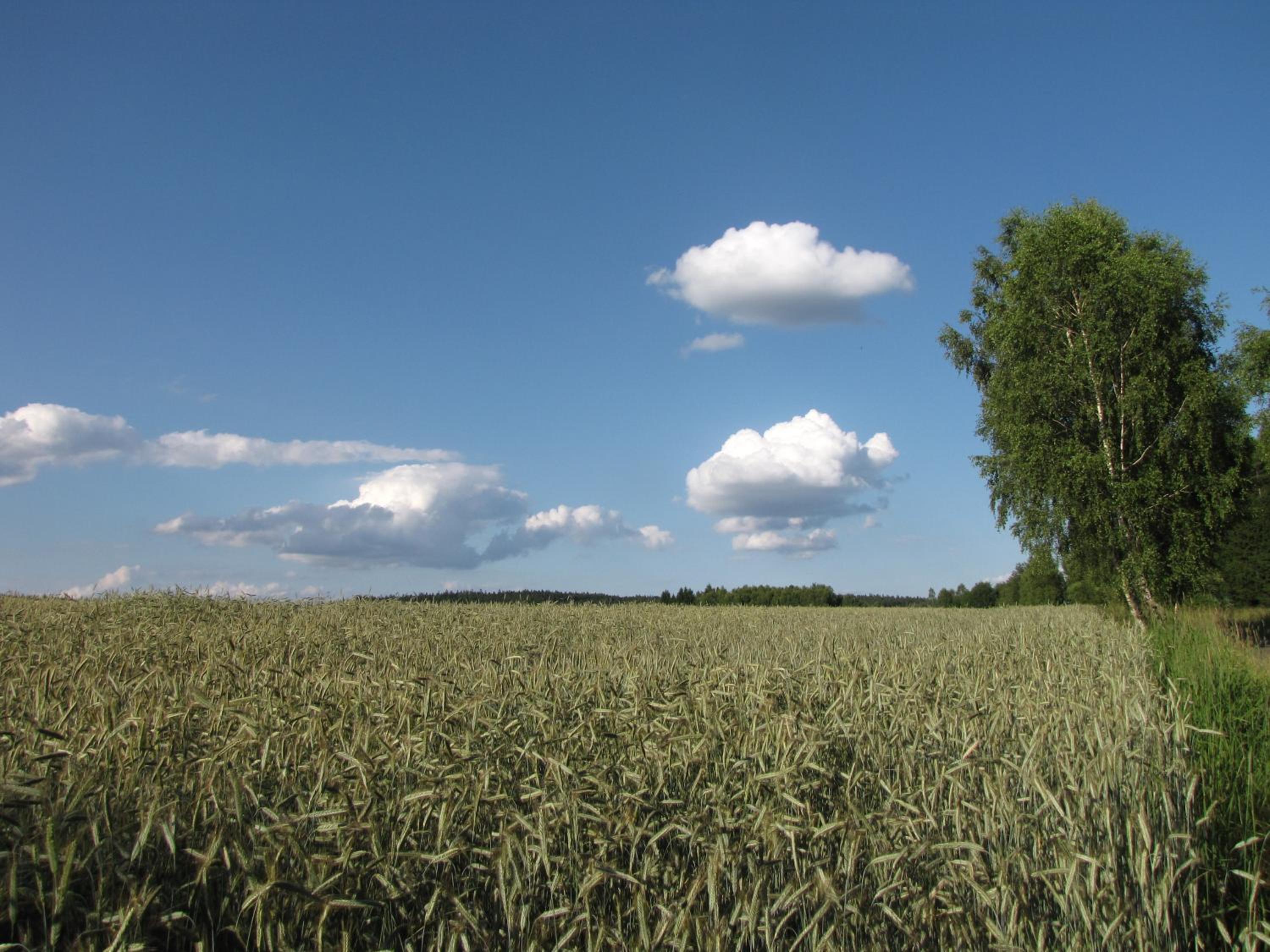 Apartmány Obora