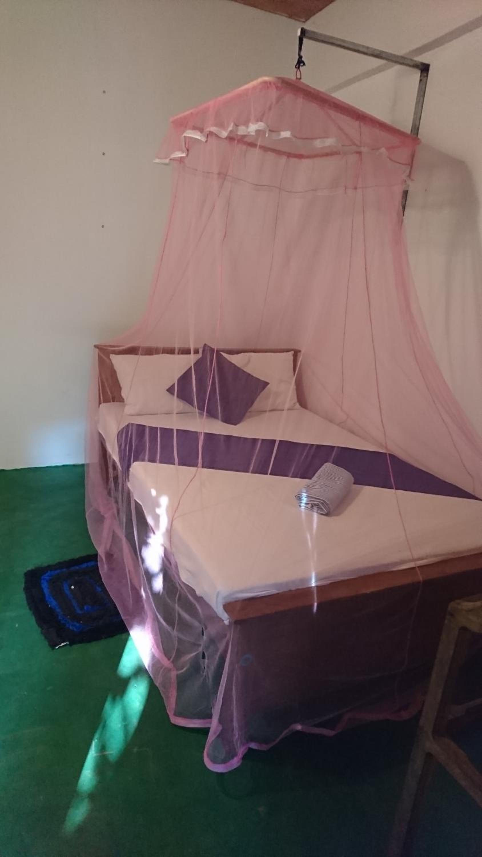 Chandi Relax Hostel view 2
