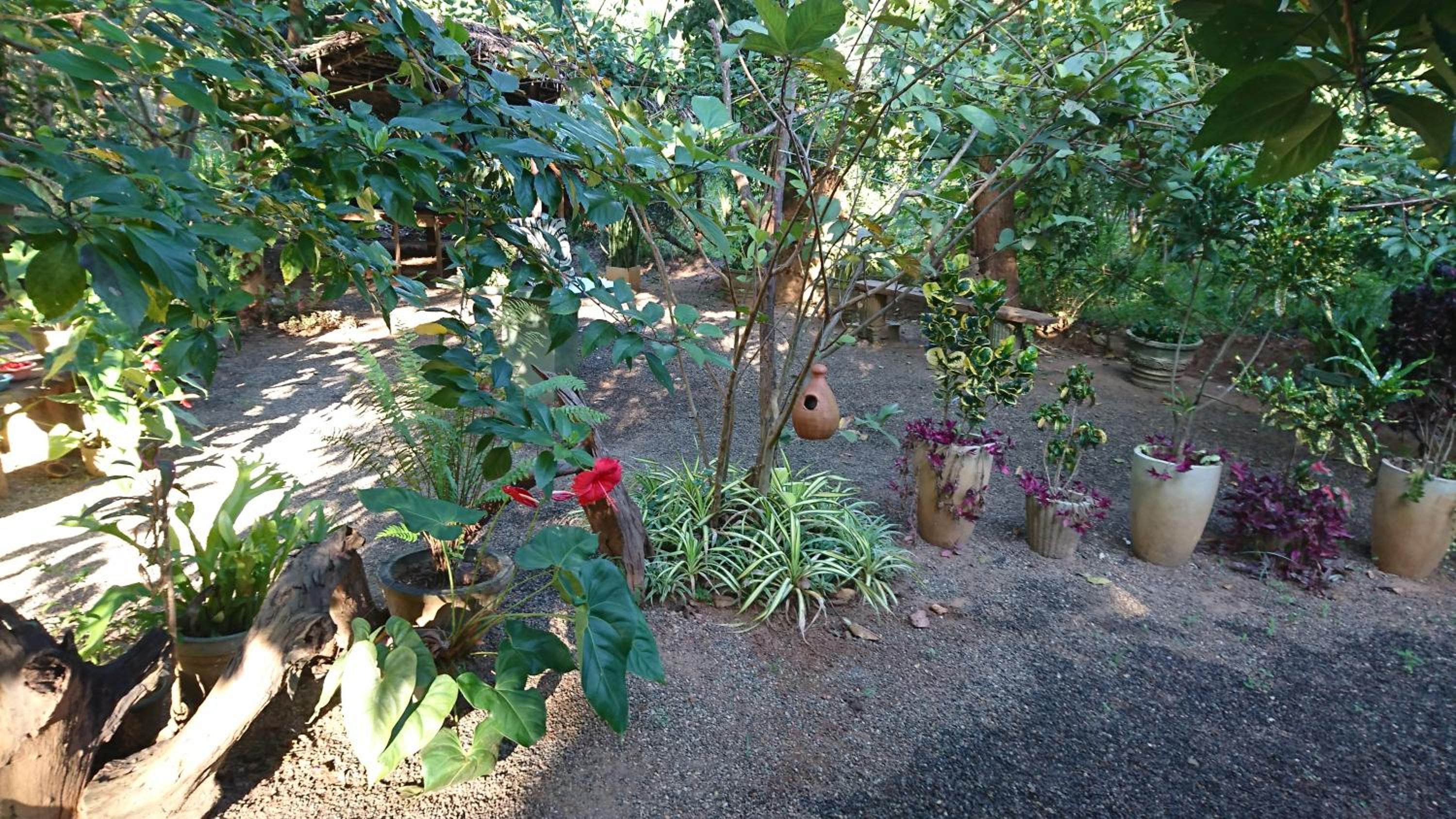 Photo 20
