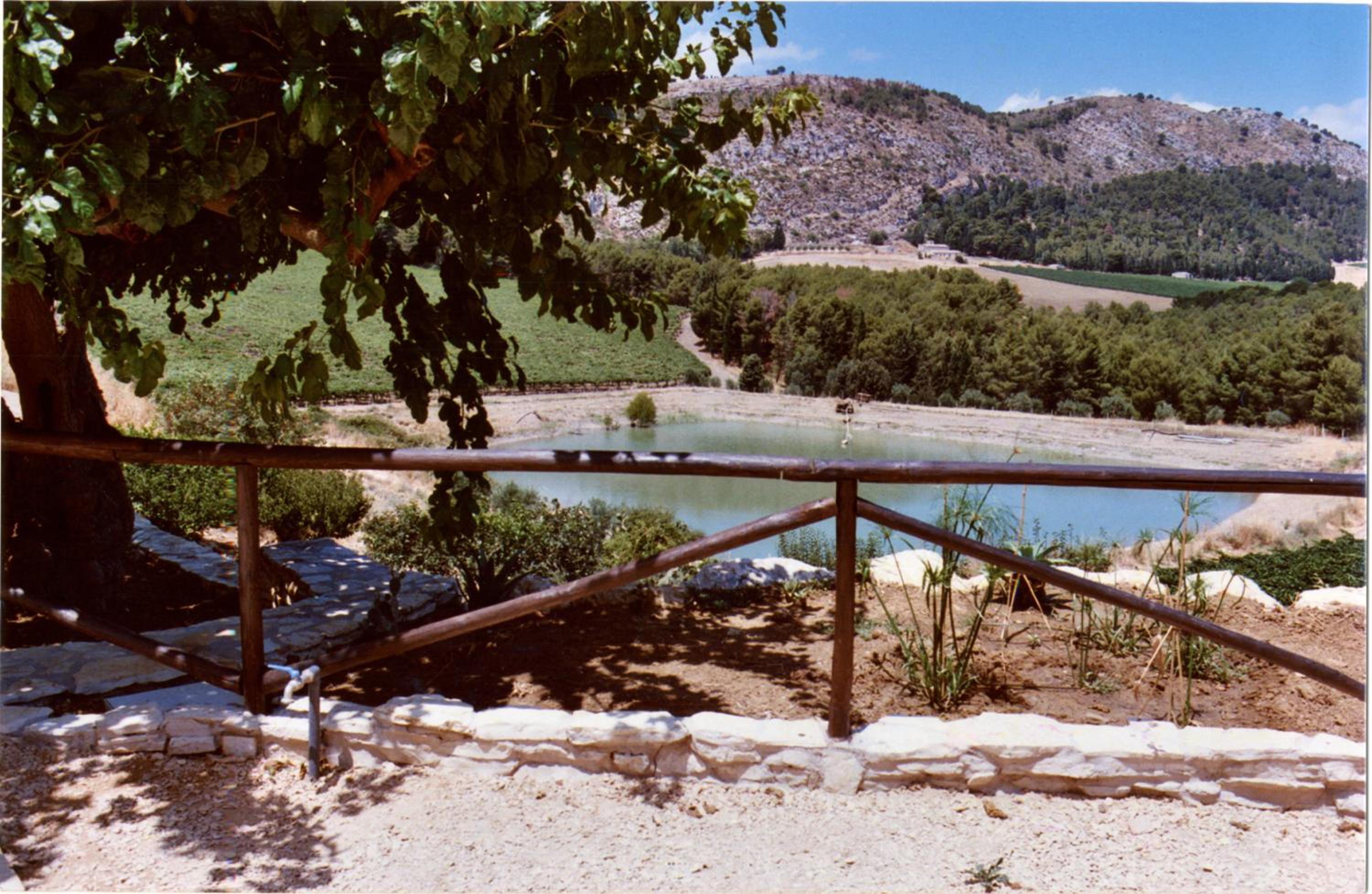 Photo 47