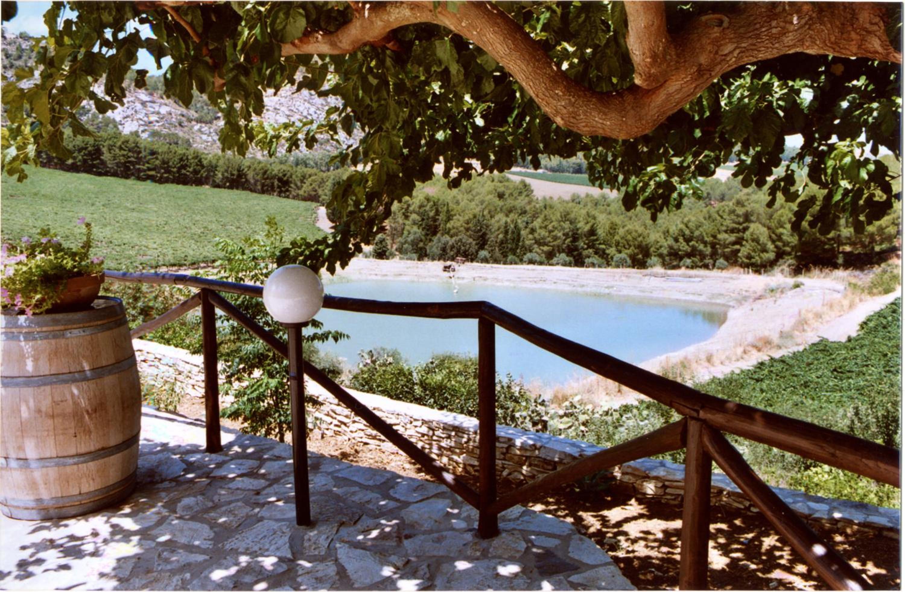 Photo 45