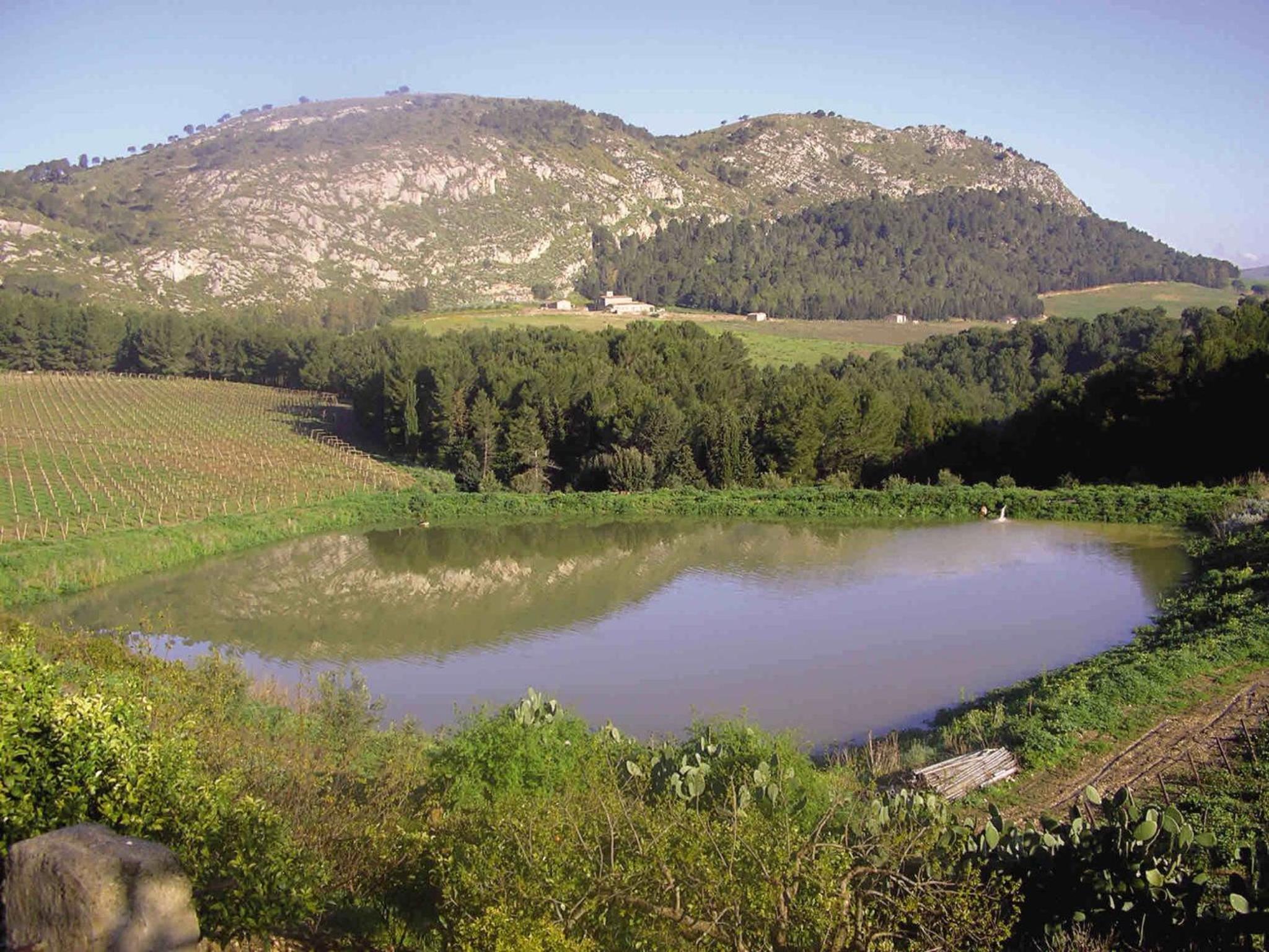 Photo 44