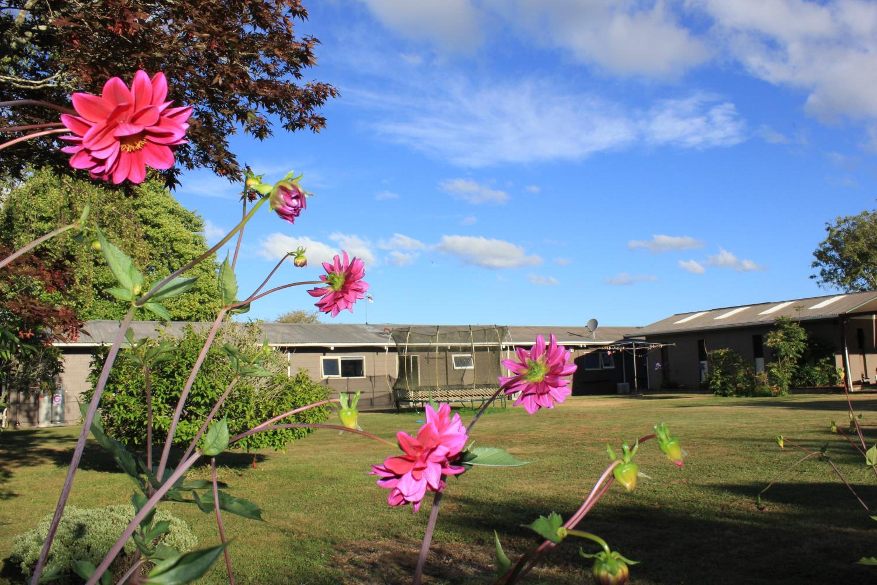 Jack & Di's Waiteti Lakefront Motel
