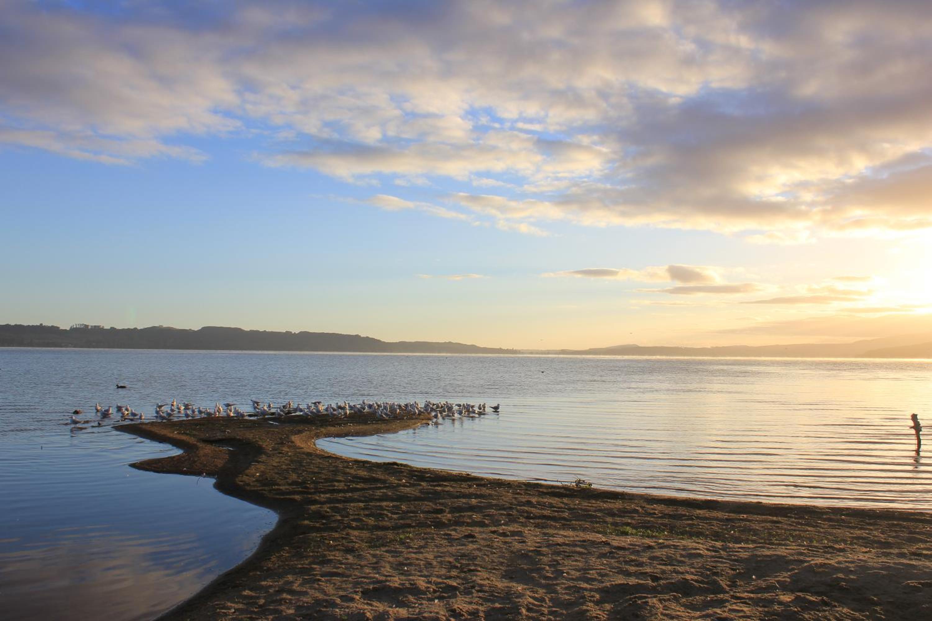 Jack & Di's Waiteti Lakefront Motel