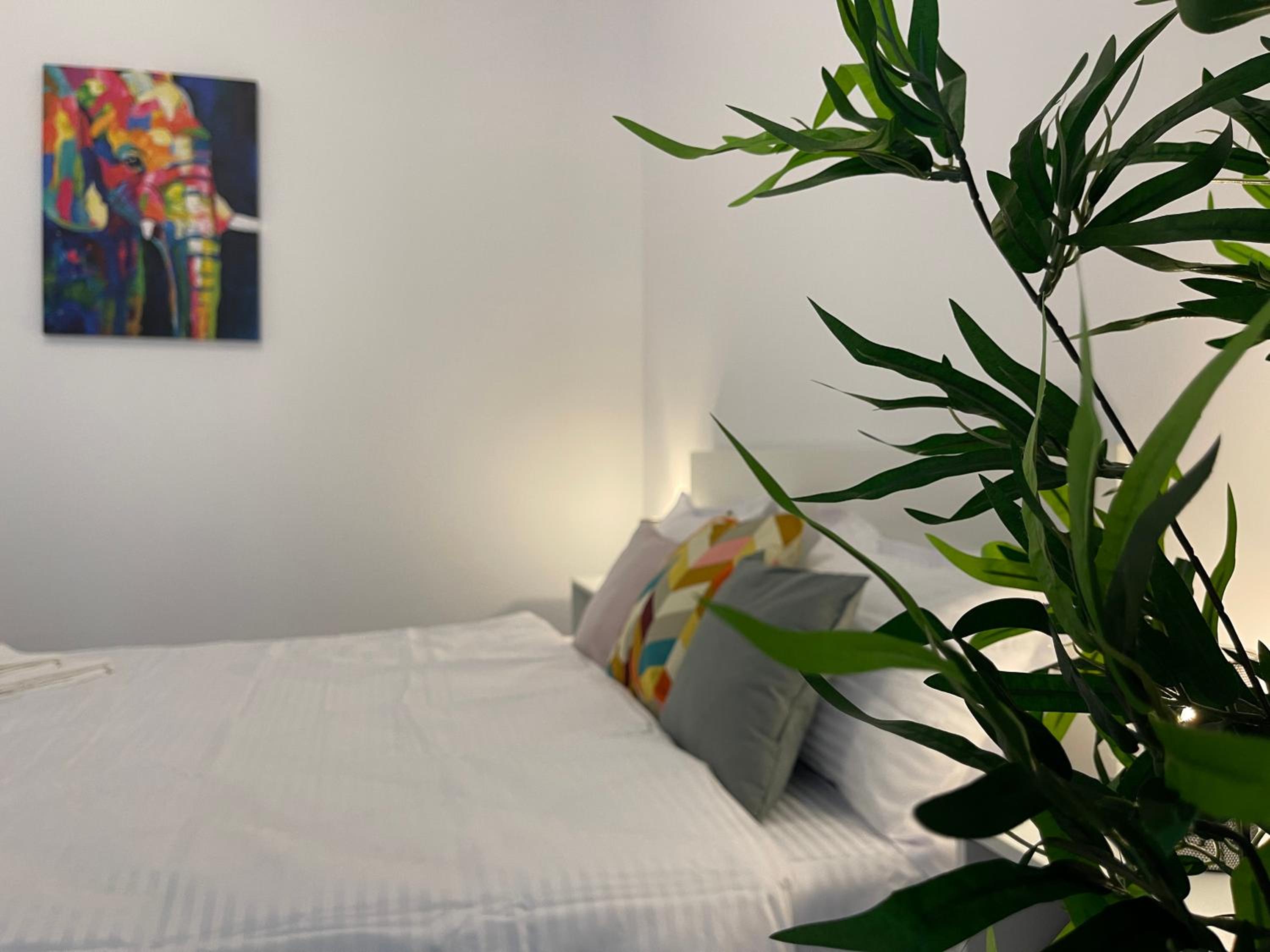 Luxury Apartment