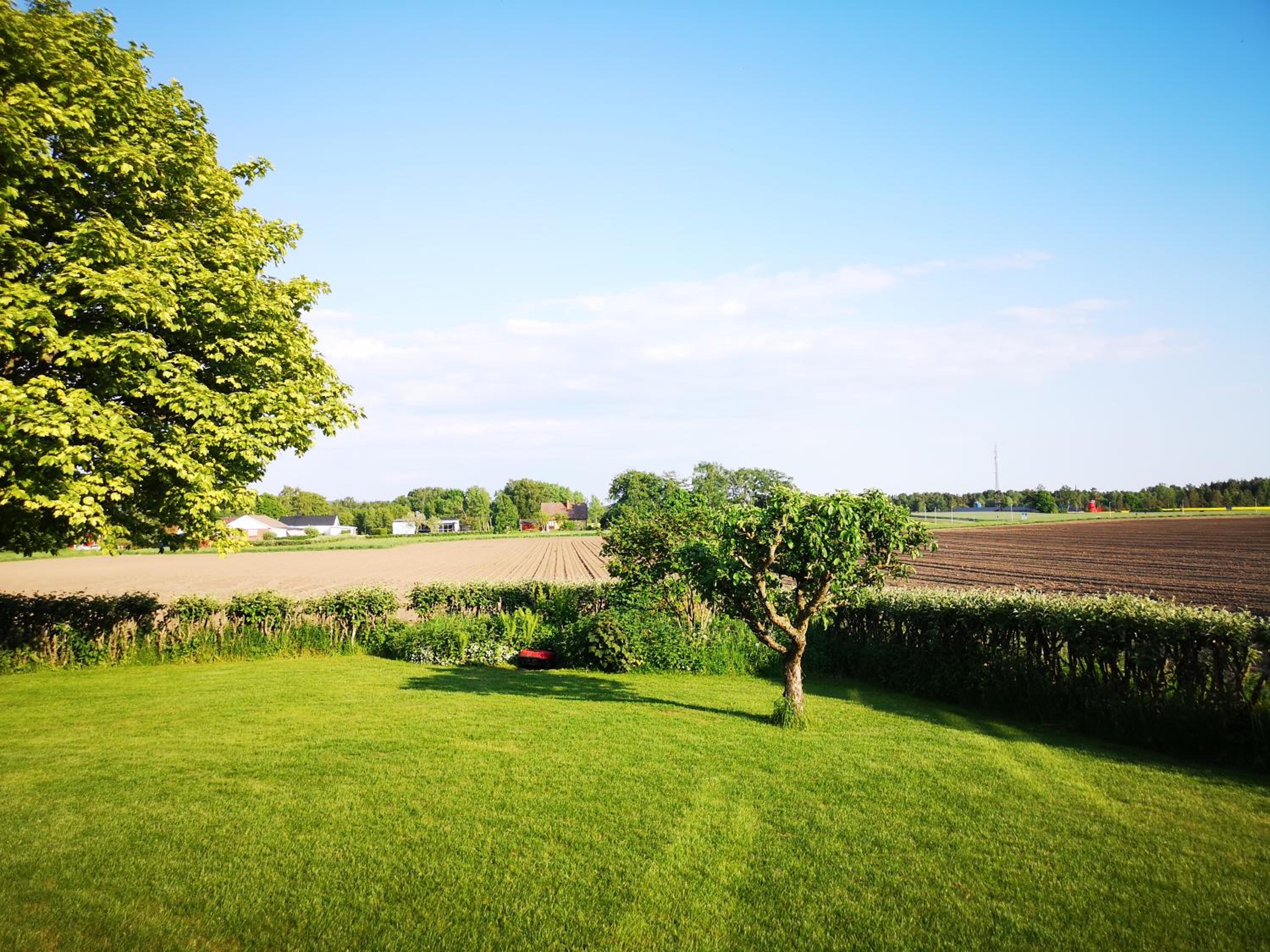 Falkenberg /Vinberg view 3