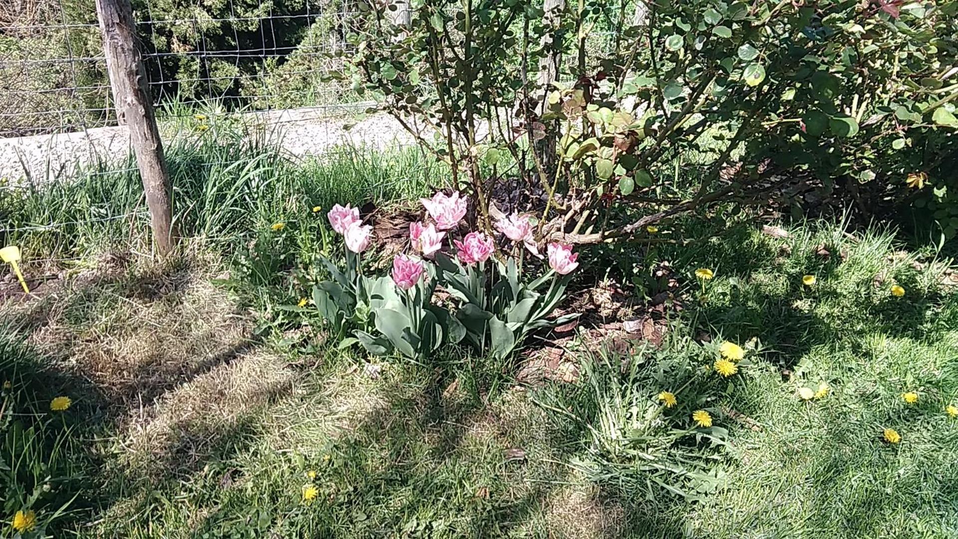 Photo 24