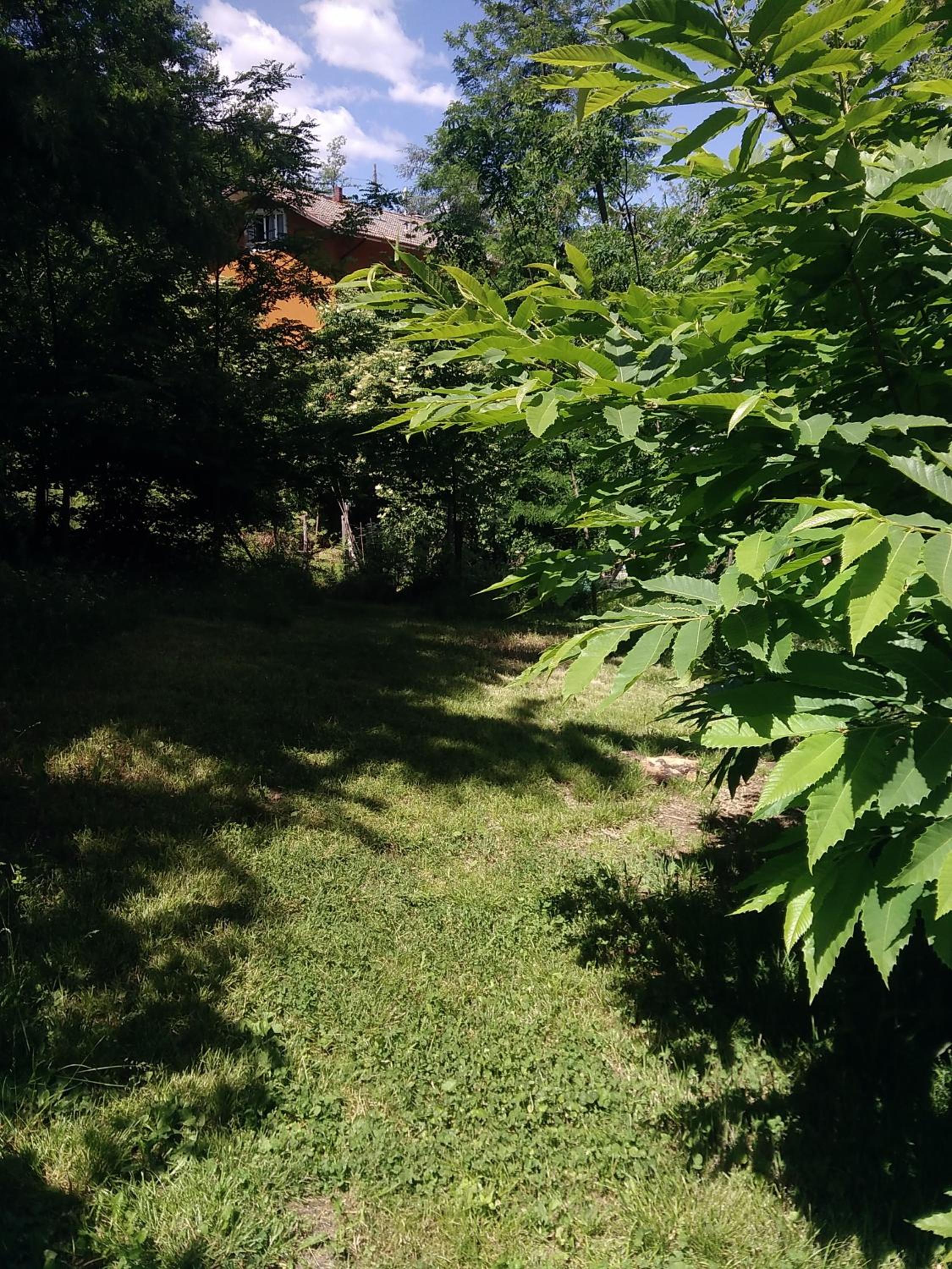 Photo 25