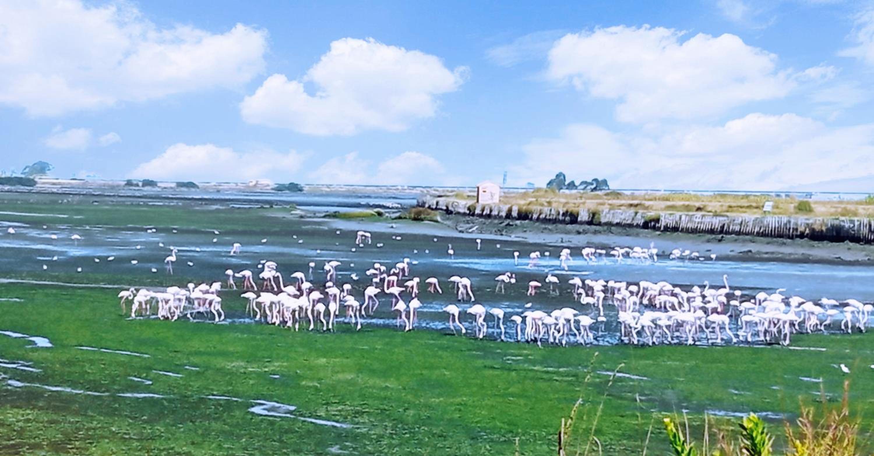 Aveiro, Ria e Fado, photo 33