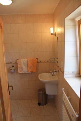 Photo 29