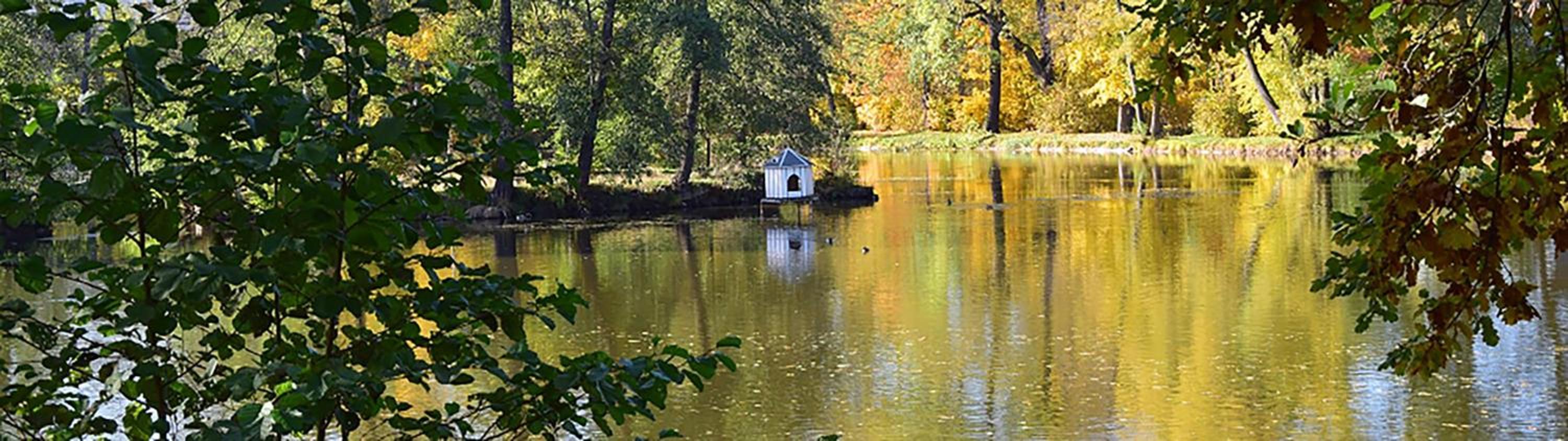 Familienurlaub im gemütlichen Umgebindehaus, Seminarhaus