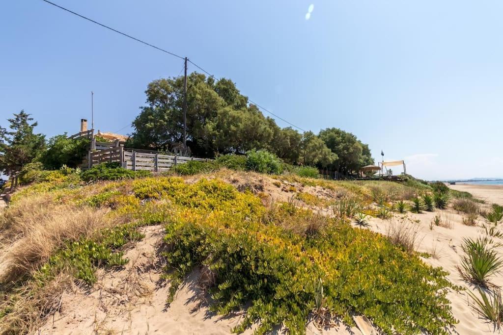 Salty Noses Beach House Paradise Perfect for Families