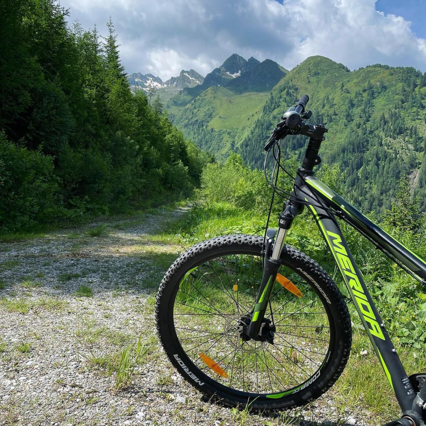 Landhaus Bergner Alm