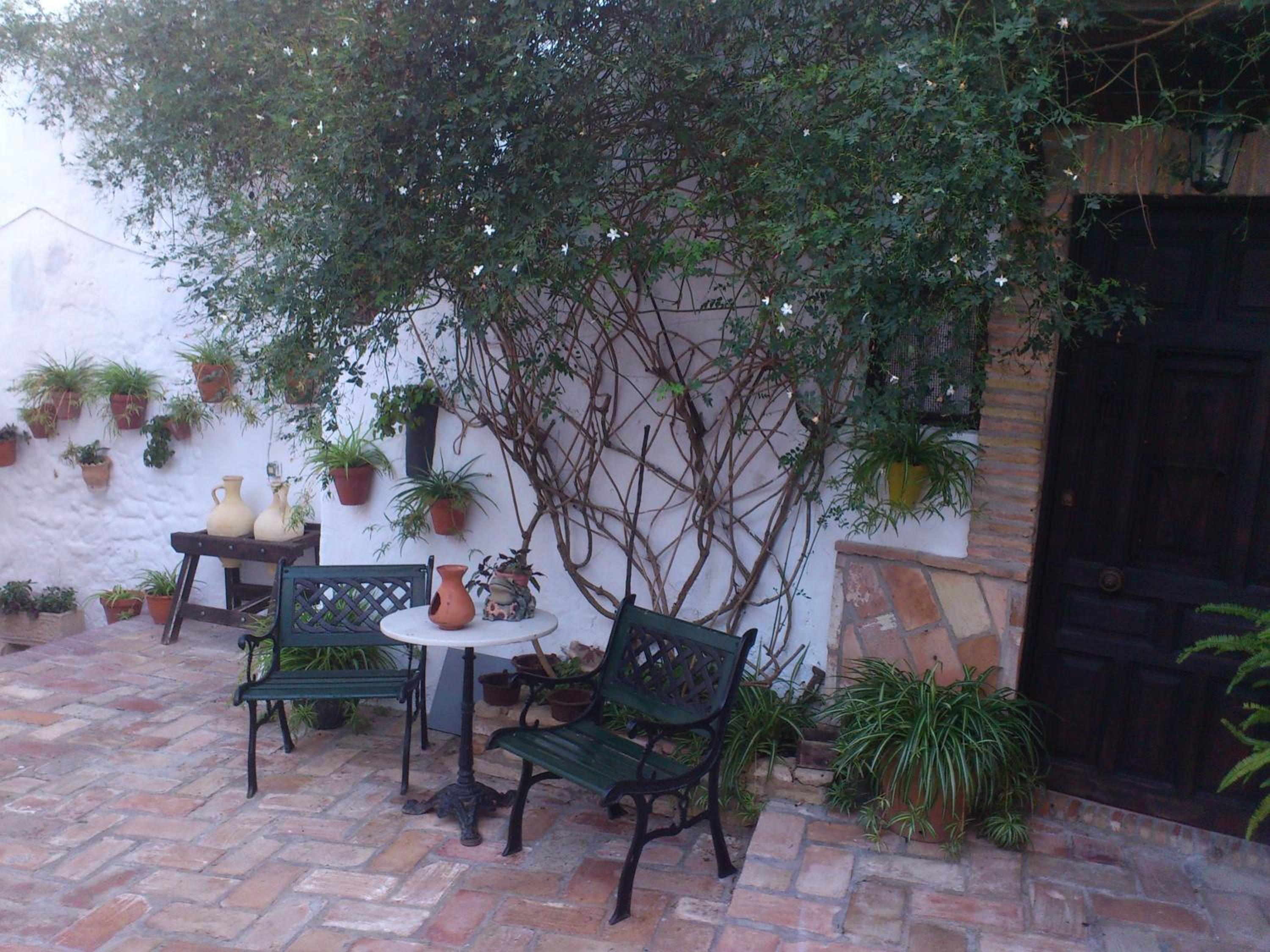 Photo 17
